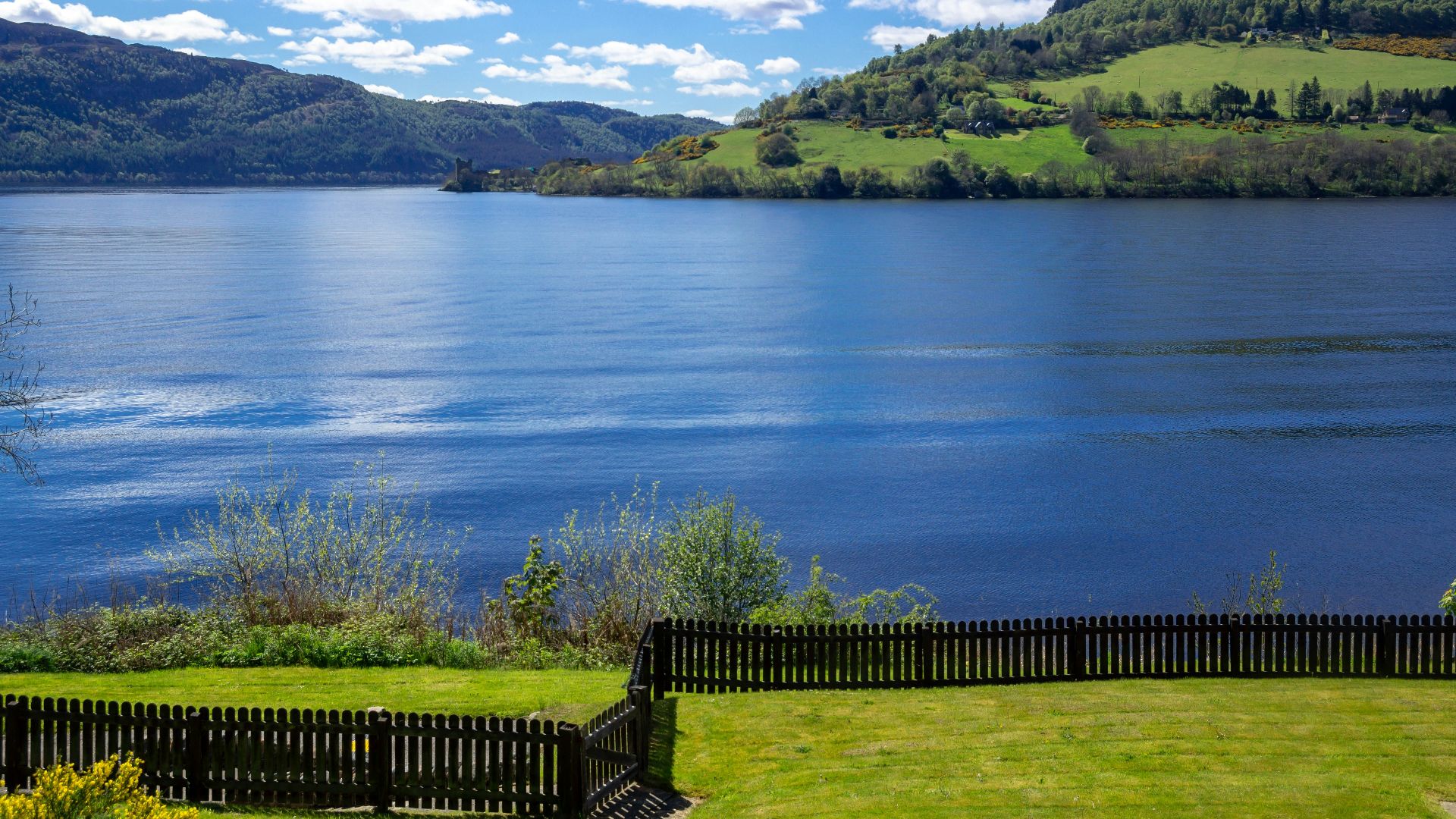 black wooden fence near lake during daytime
