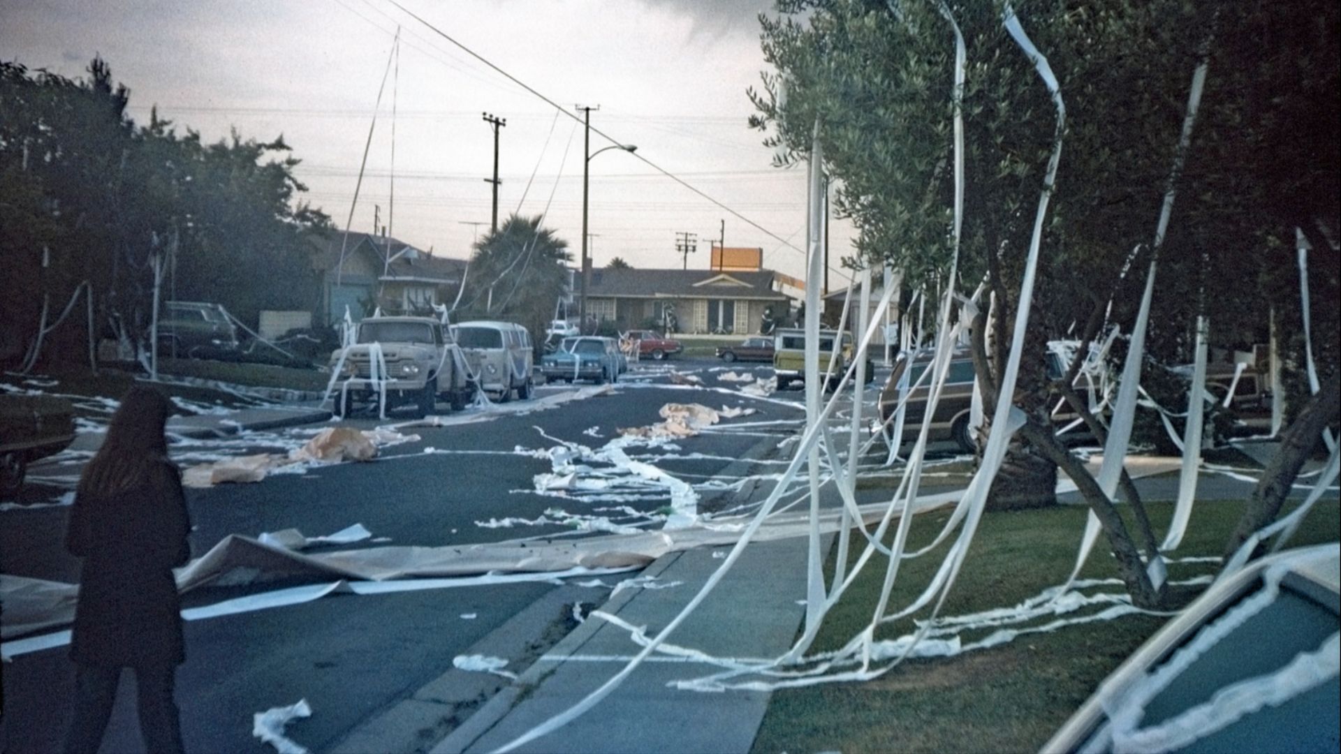 Early morning view of TP'ing on the 23500 block of Nicolle Ave., Carson, California.