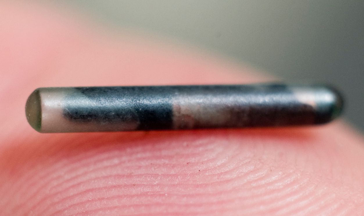 Pet Microchip