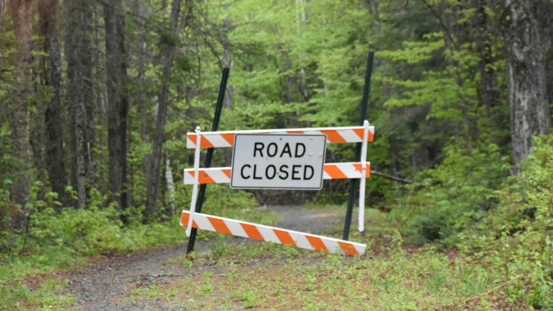Road closed barrier on a dirt path surrounded by trees.