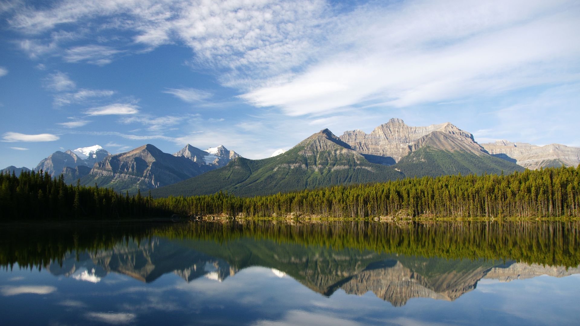 View of the Lake Herbert (early morning) from the side of the road.