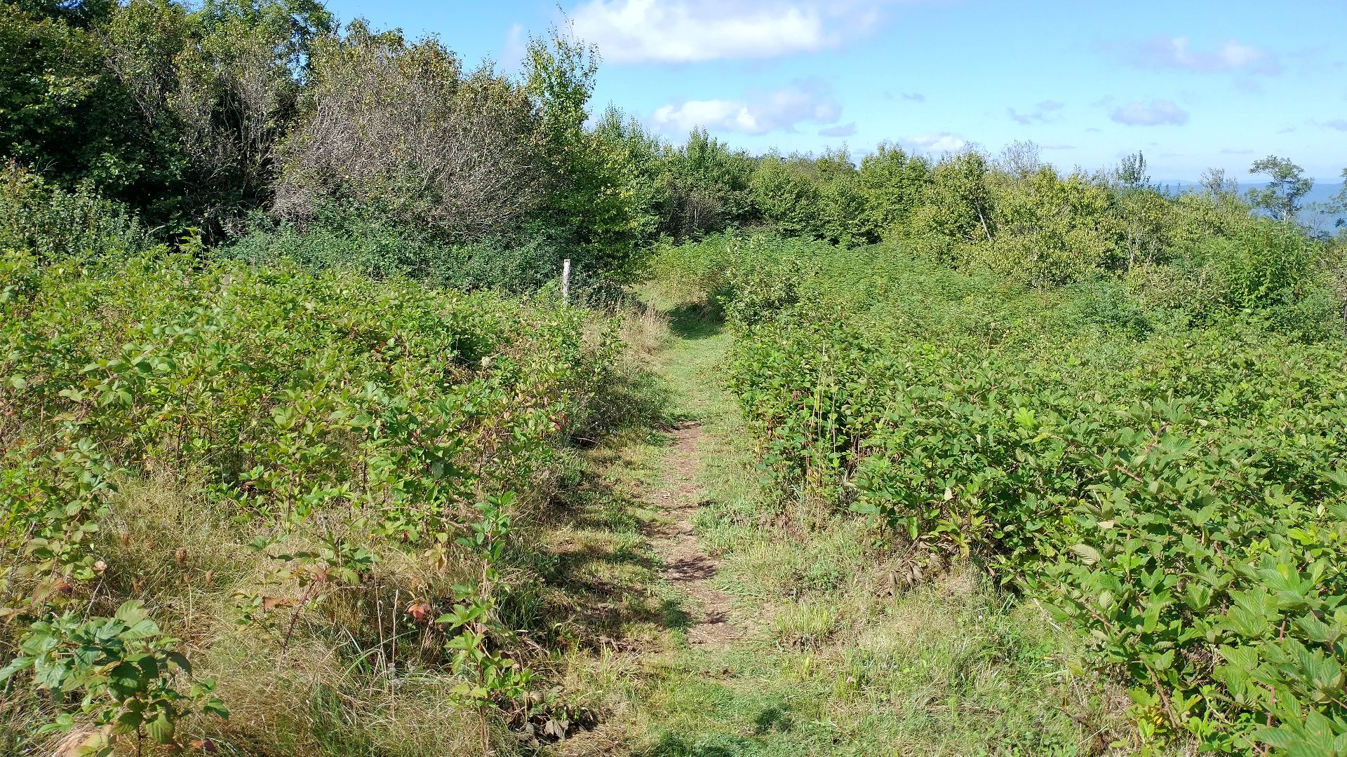 View of the Appalachian Trail at the top of Peter's Mountain on the border of Virginia and West Virginia.