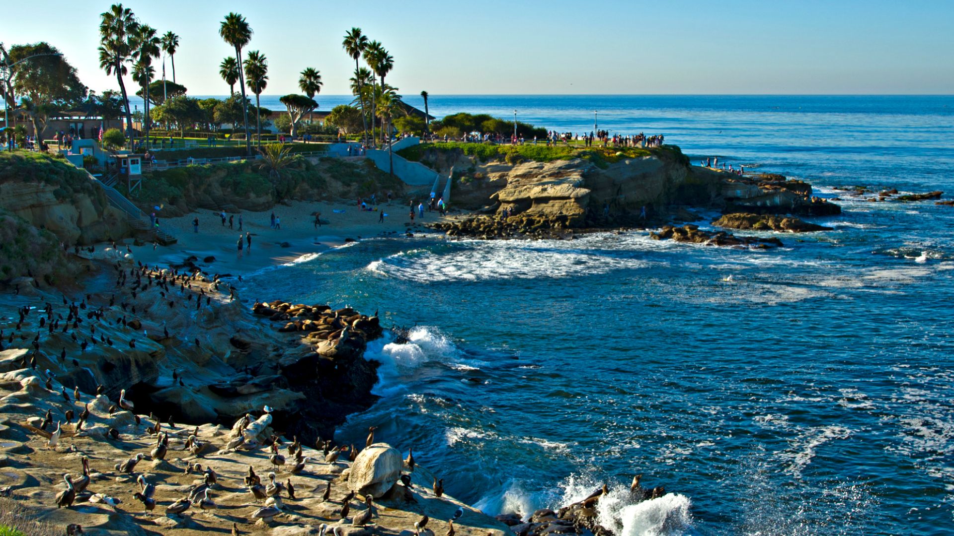 La Jolla Cove California Beach Pacific Ocean Dec 2011