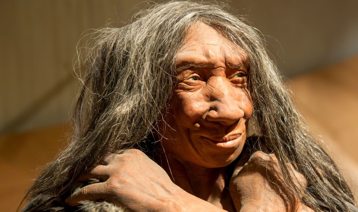 Dusseldorf, Germany, February 16, 2024, Neanderthal Museum