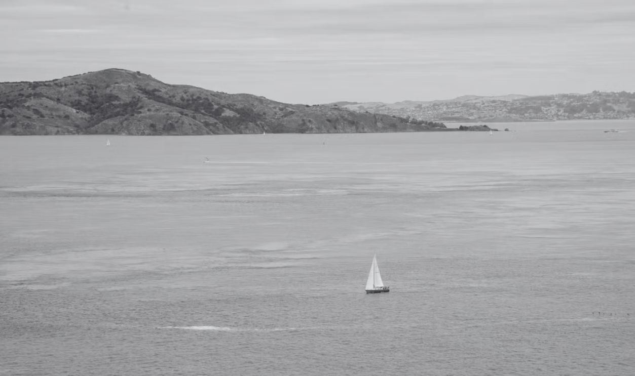 A single sailboat gliding on San Francisco Bay against a backdrop of rolling hills