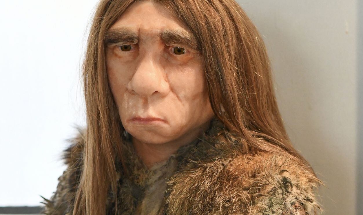 LILLE, FRANCE - FEBRUARY 21,2024: Wax figure of a Neanderthal with long hair in skins