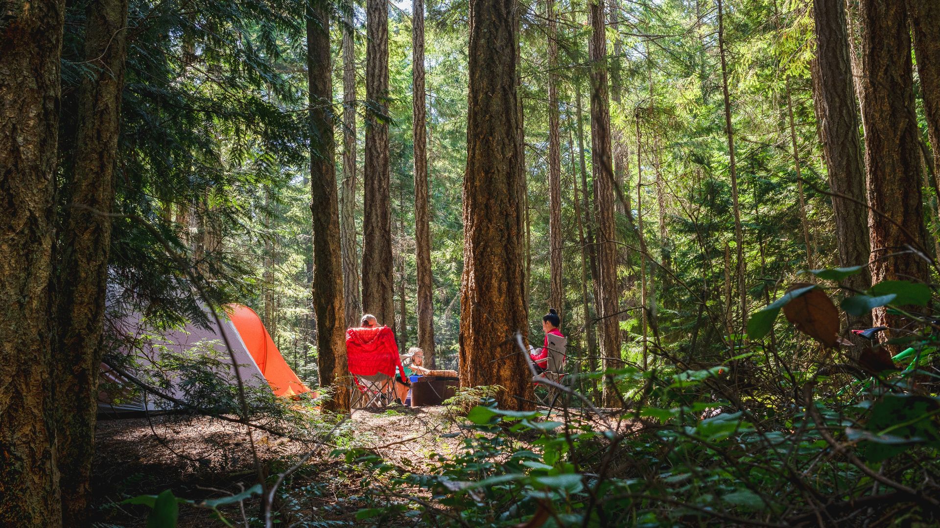 people sitting on ground surrounded by trees during daytime
