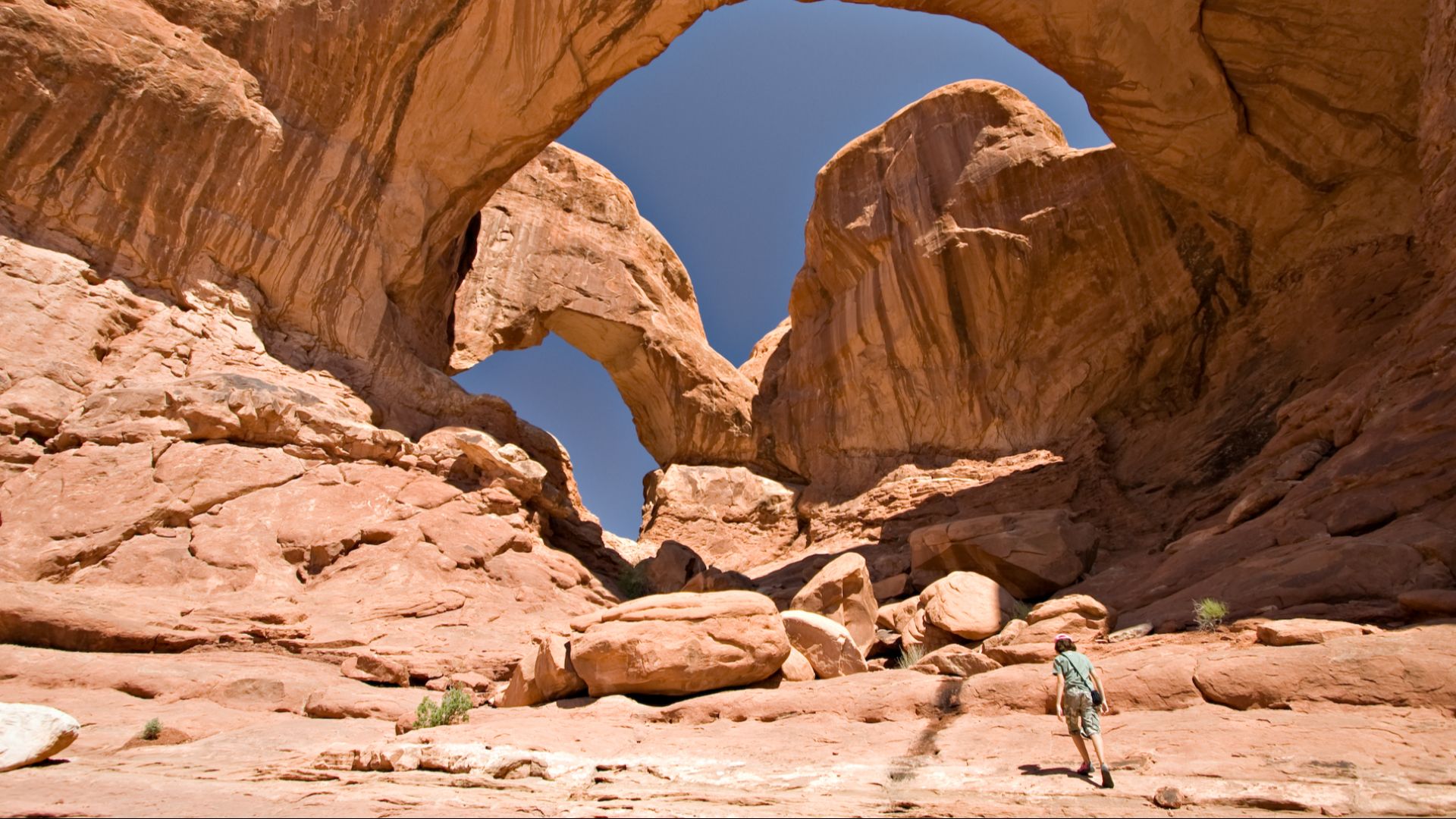 Double Arch, a close-set pair of arches located in Arches National Park in Utah, USA.