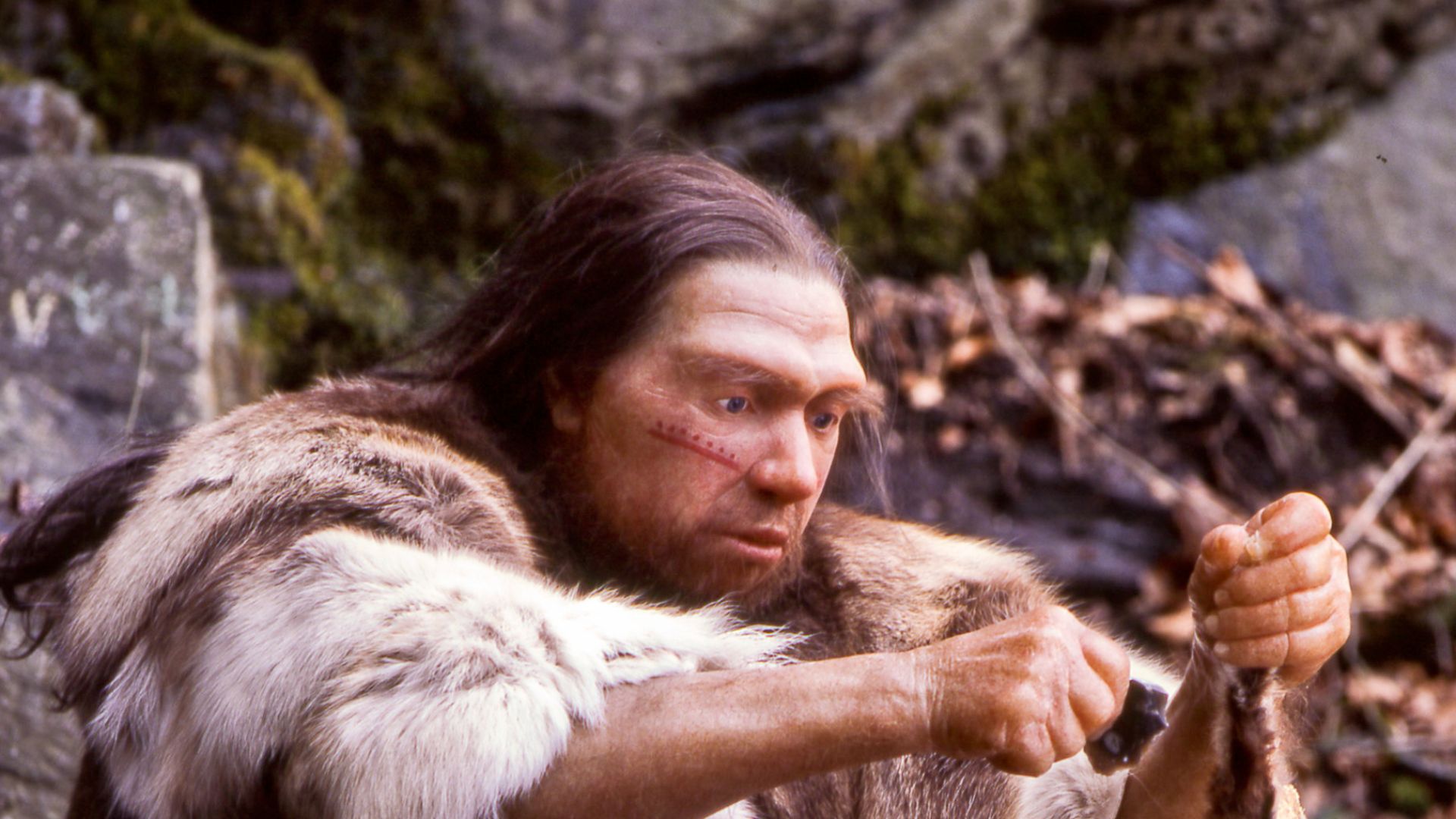 Lebend-Rekonstruktion im Neanderthal-Museum (Erkrath, Mettmann) eines Homo sapiens neanderthalensis-Jägers