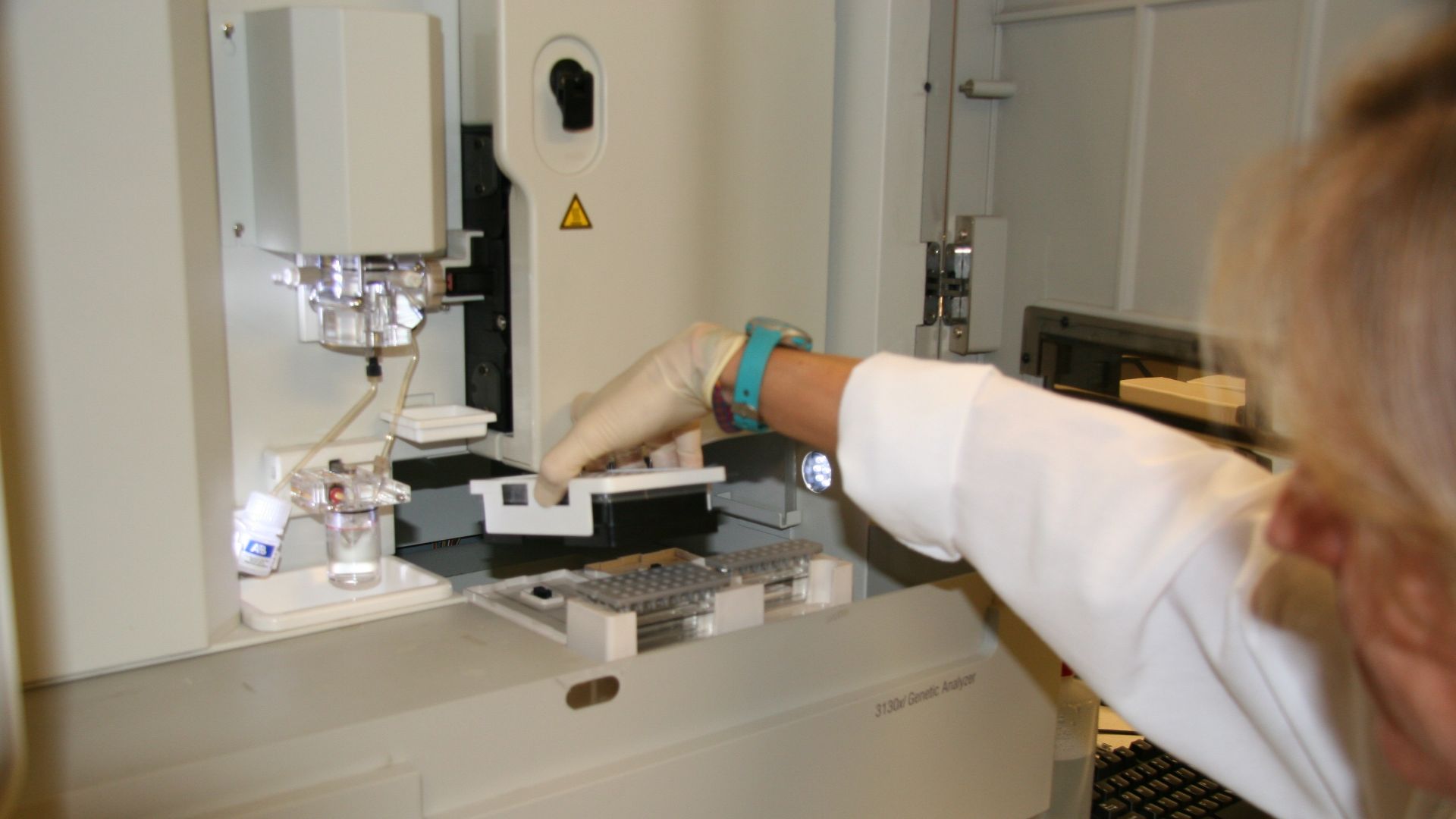 CDFW Environmental Scientist Erin Meredith checks DNA samples from a mountain lion, September 2014.