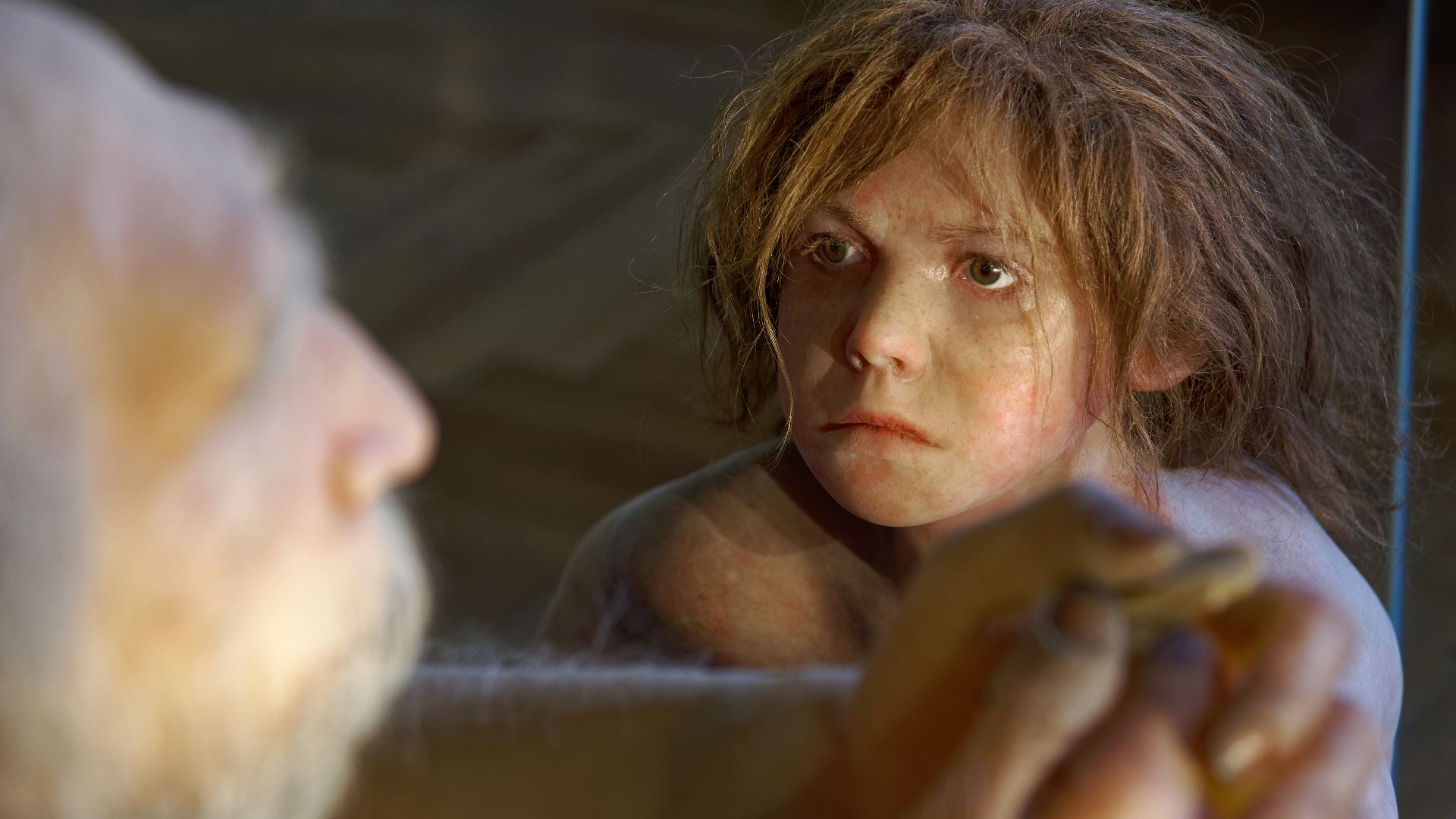 Model of Homo neanderthalensis child in The Natural History Museum, Vienna