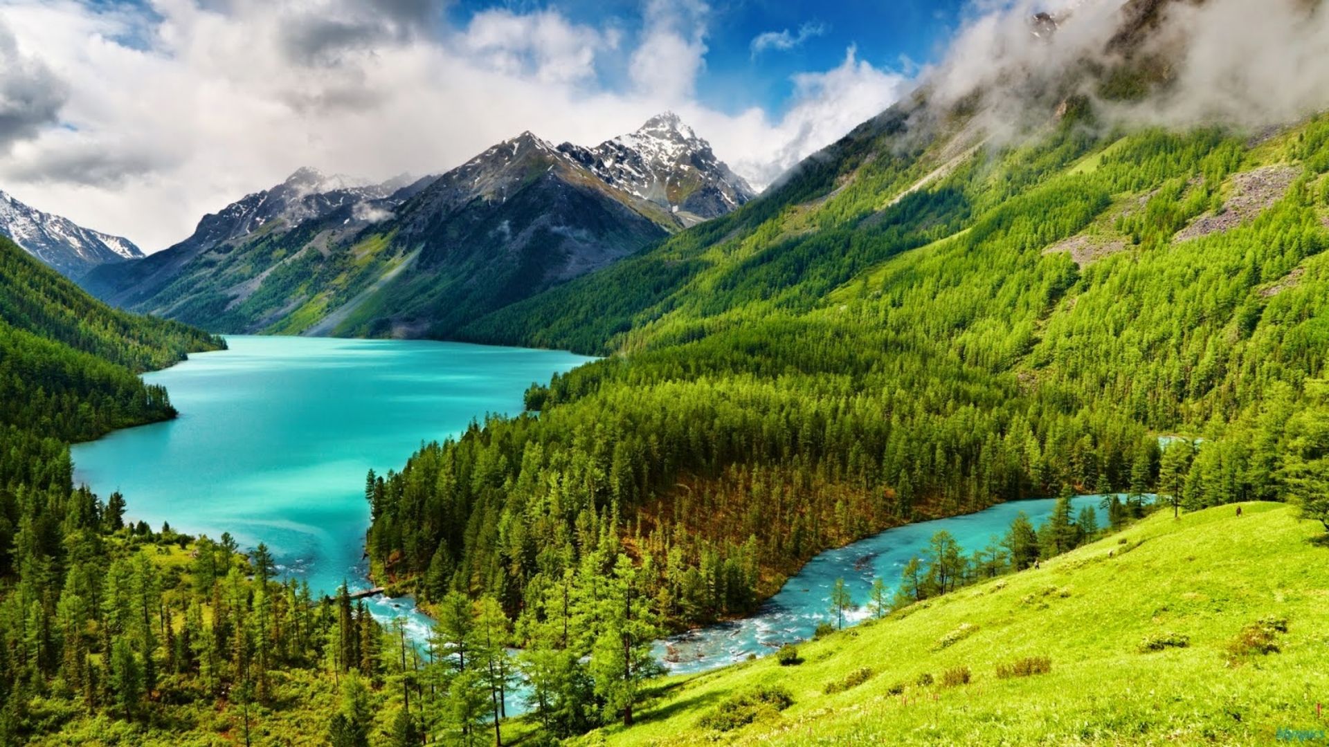 Lake Kucherla, located in the Altai Mountains and Katun Nature Reserve of Siberia. Together with Lake Teletskoye, Belukha Mountain, and the Ukok Plateau it forms a natural UNESCO World Heritage Site entitled
