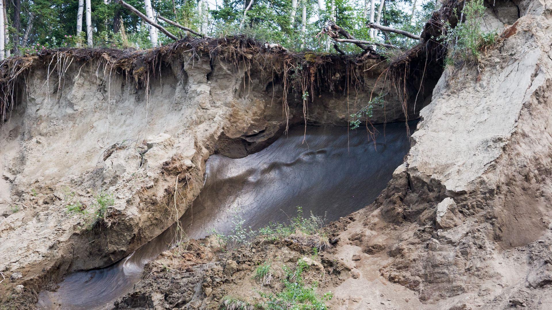 An ice lens has been exposed by erosion in the bank of lower Birch Creek Wild and Scenic River, Alaska. Ice lenses, massive blocks of ice, are one form of the permafrost that underlies much of the vegetative mat along Birch Creek and surrounding parts of
