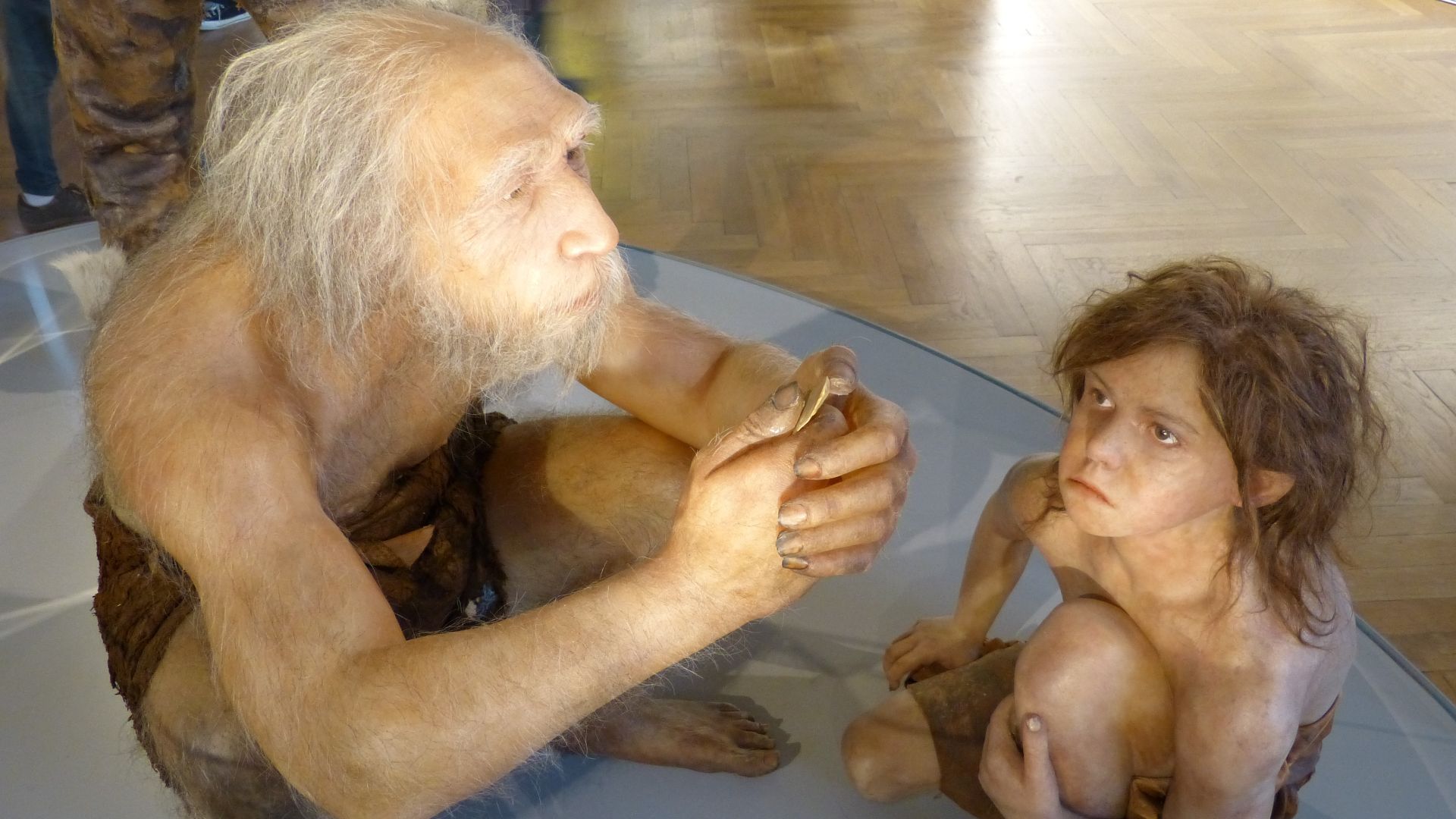 Natural History Museum, Vienna ( Austria ). Soft tissue reconstruction of a male homo neanderthalensis ( La-Chapelle-aux-Saints 1, , France ) with child ( Gibraltar 2, Devil's Tower, UK )