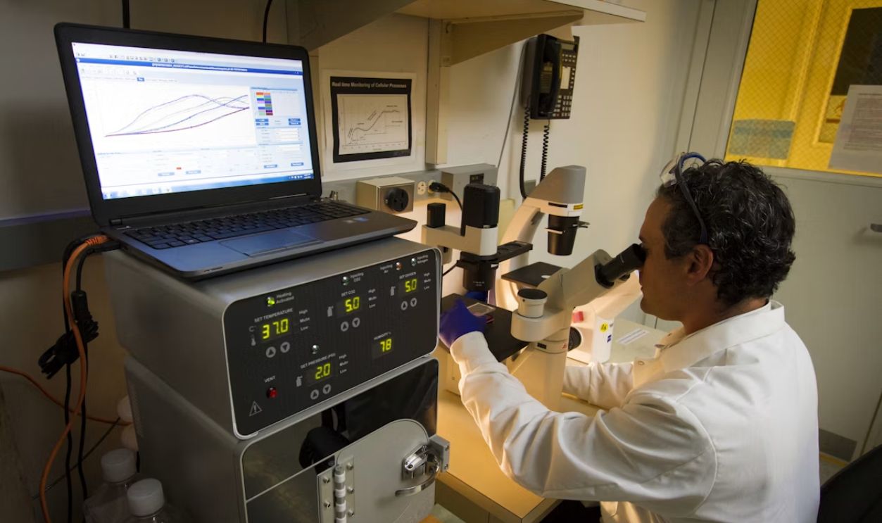  DNA Genotyping and Sequencing.