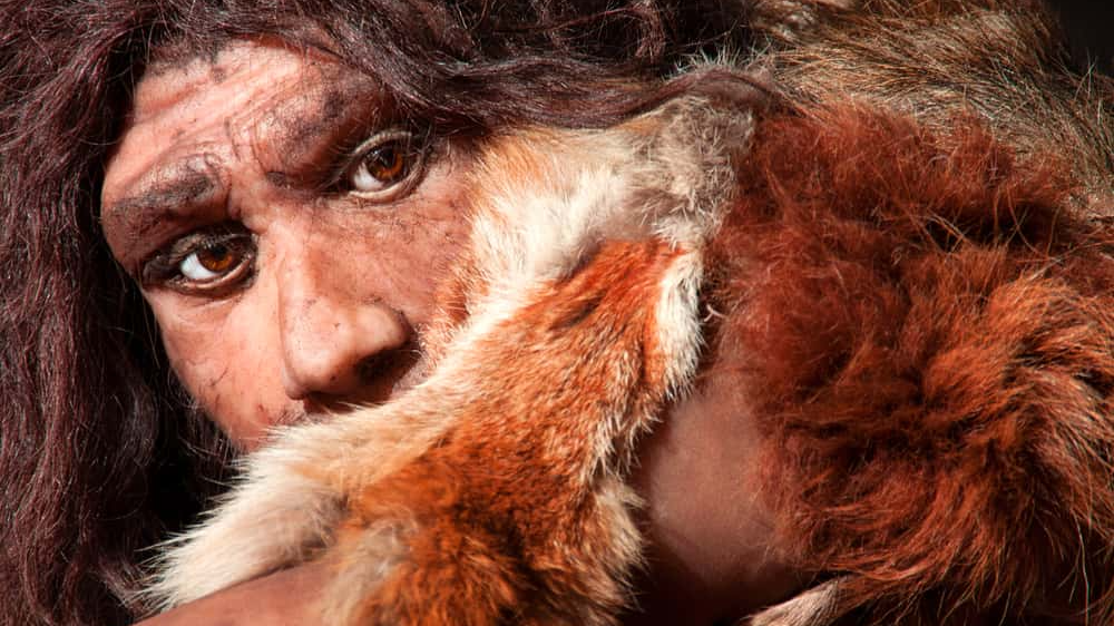 close view of a neanderthal man, focused in eyes expression