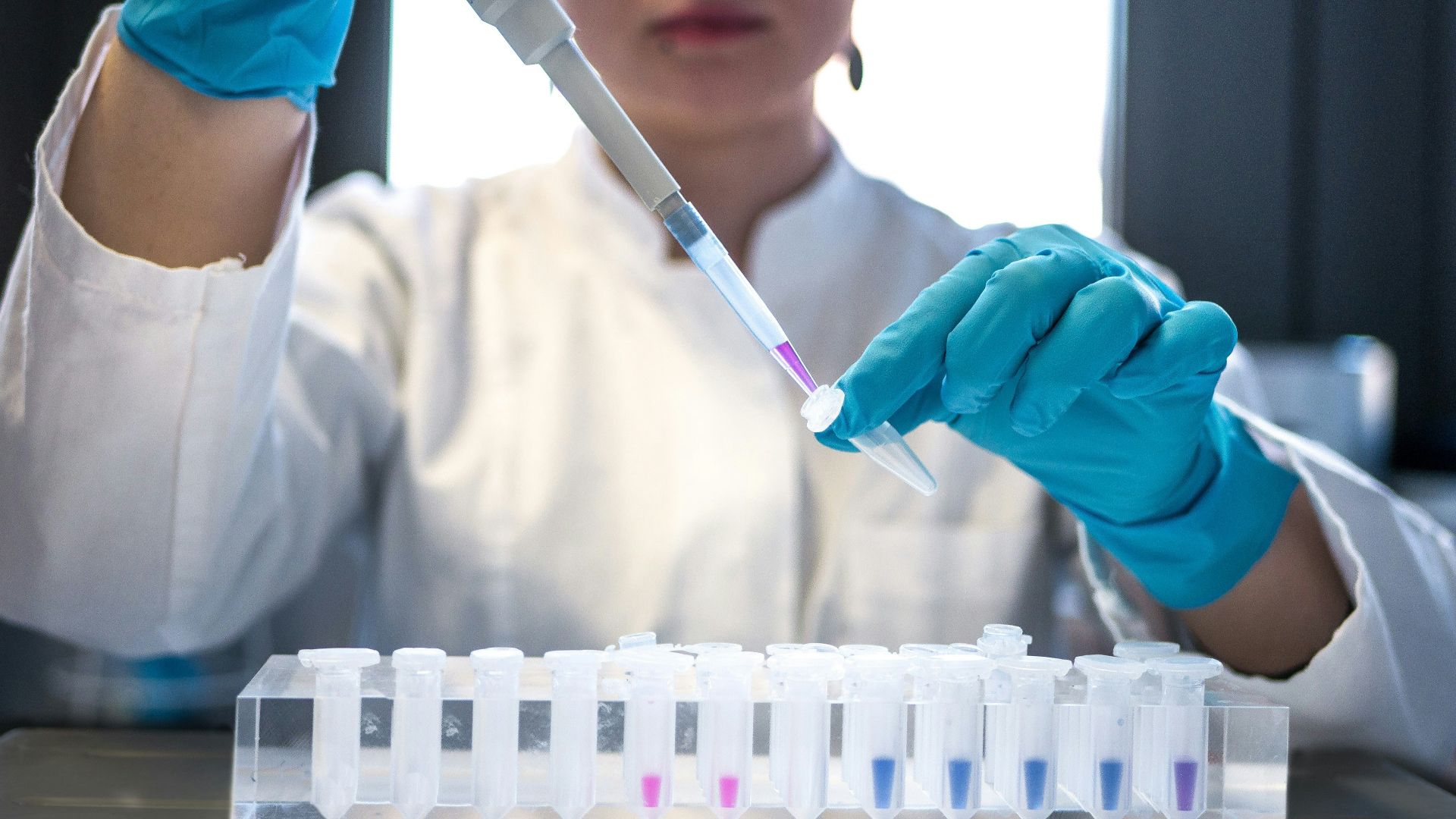 scientist using pipette with test tubes in lab