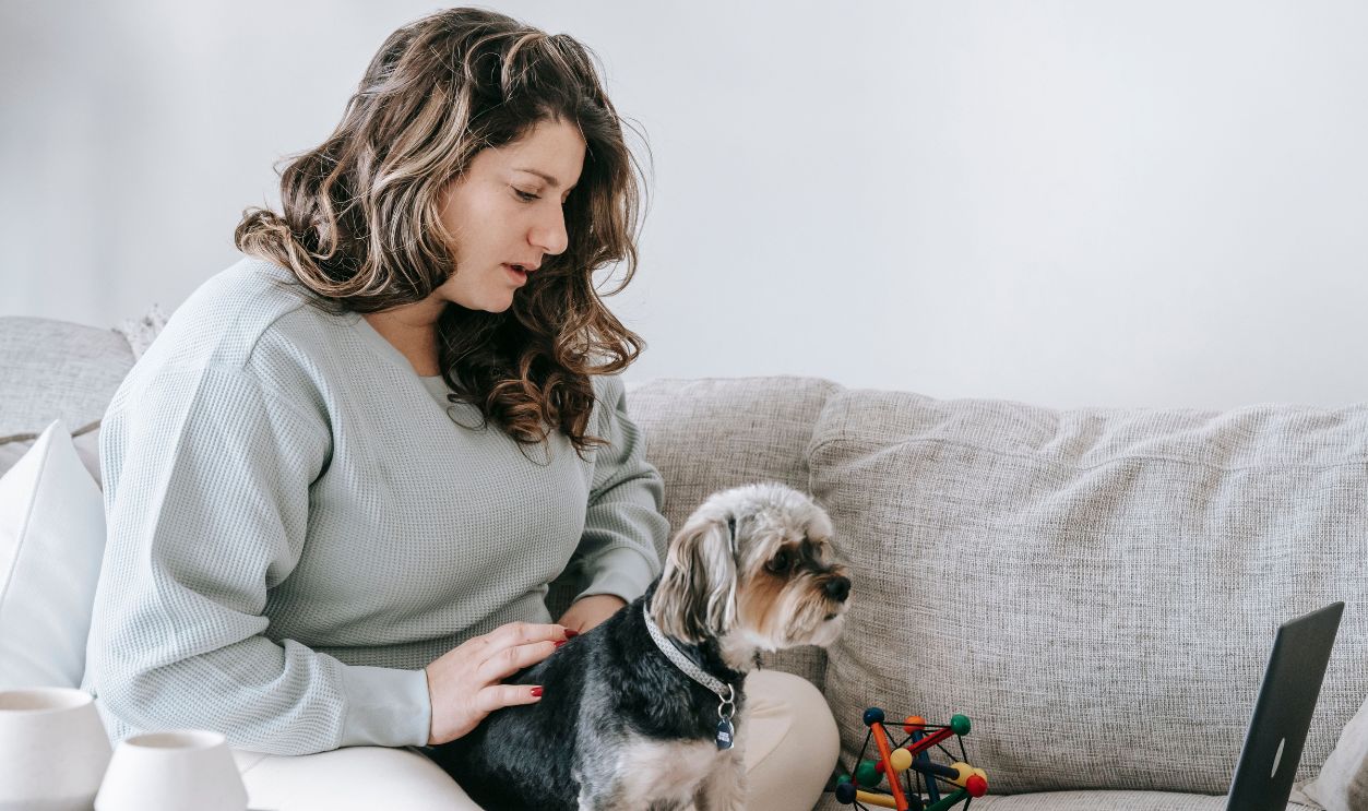 A woman and her yorkshire terrier watching a laptop on a cozy living room