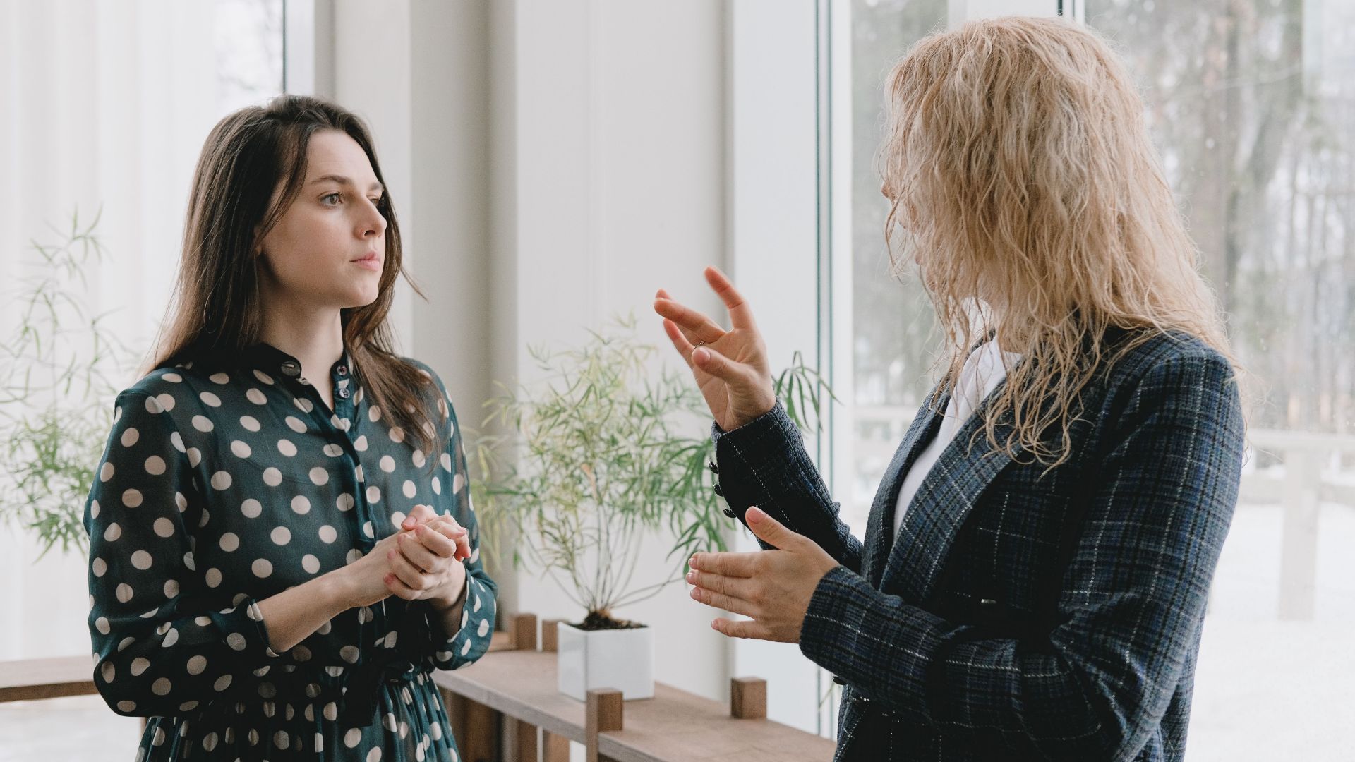 Concentrated young female colleagues in elegant outfits standing near window in light office and discussing project