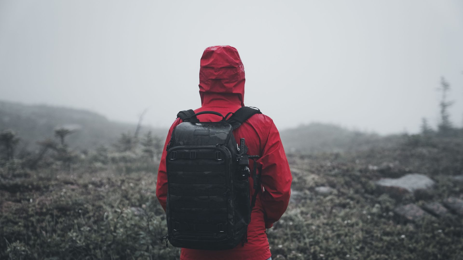 Adult in a red jacket hiking through foggy wilderness with a backpack.