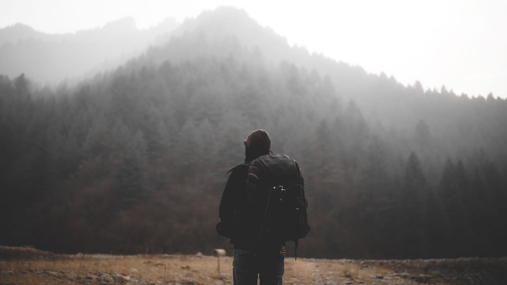 Silhouette of a hiker with a backpack facing misty mountains on an outdoor adventure.