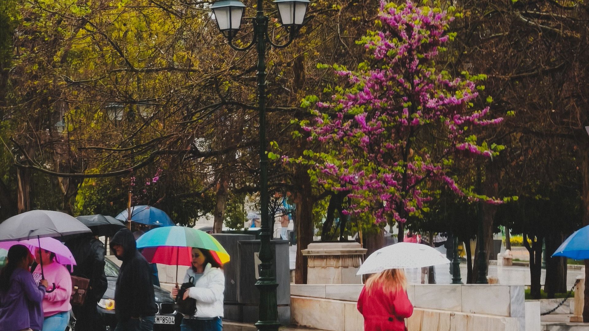 People with umbrellas cross a wet pedestrian crossing on a rainy spring day.