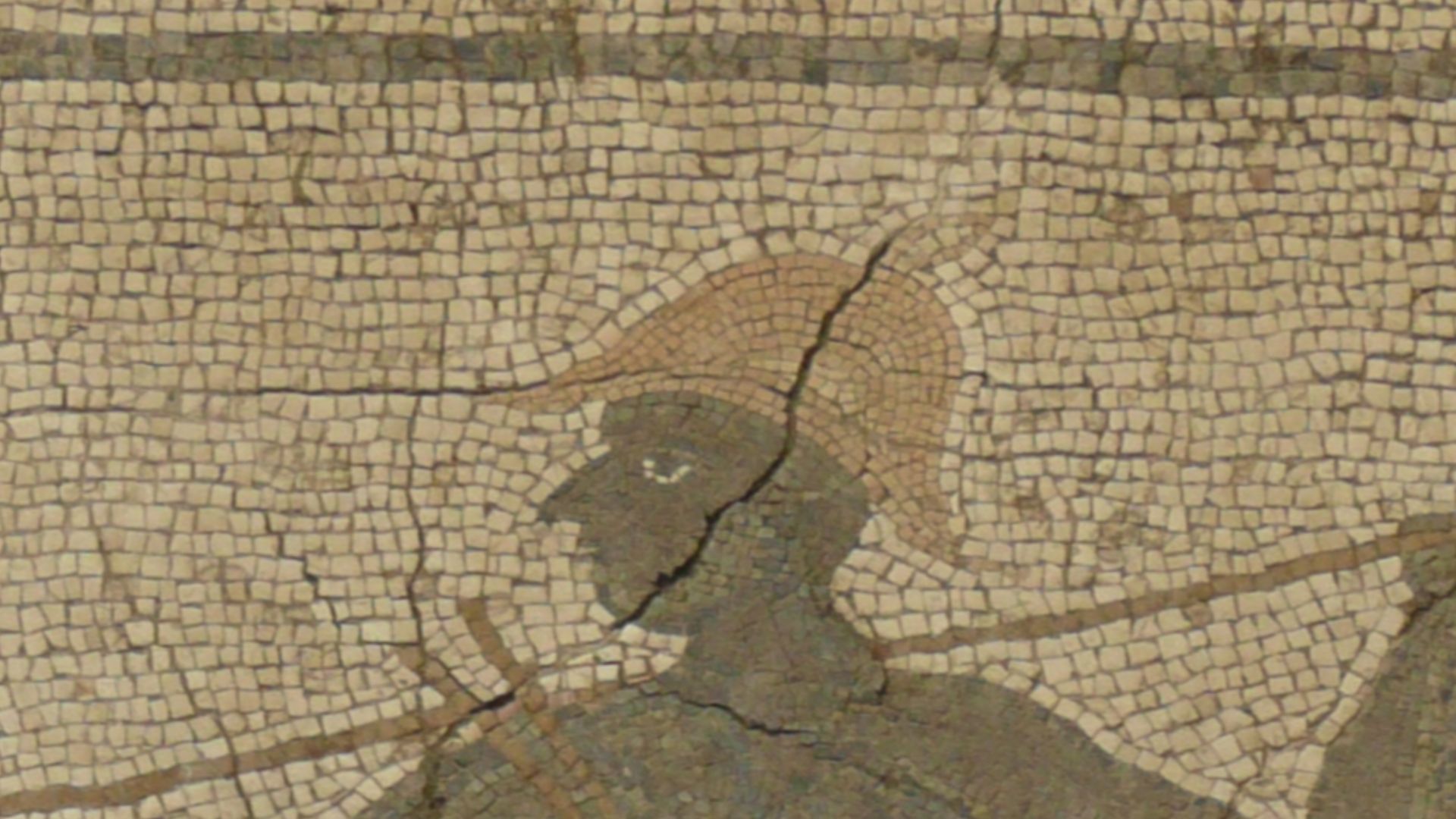 Photographs from Antakya Archaeological Museum