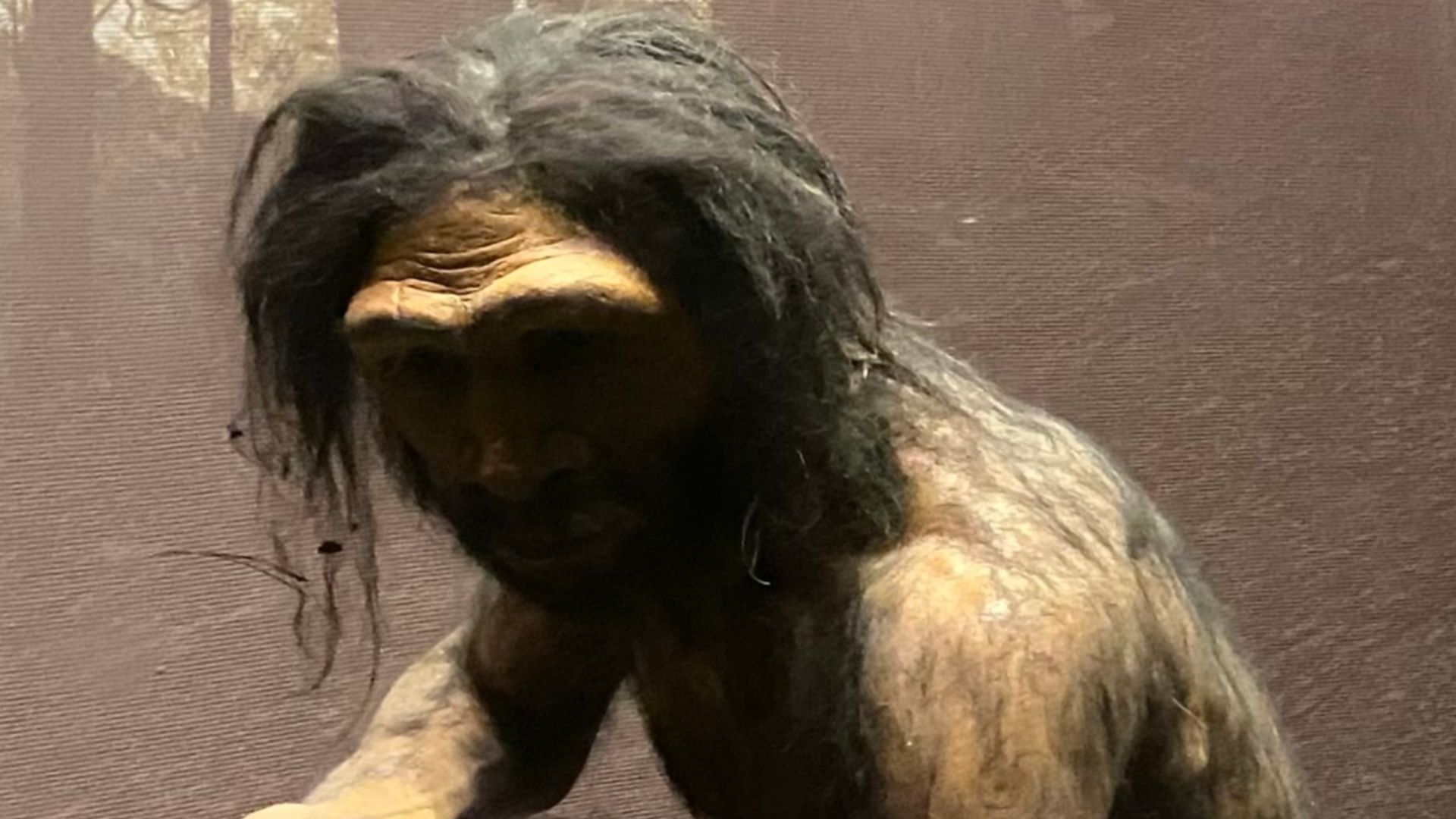 Homo erectus diorama at the Hall of Human Origins at AMNH