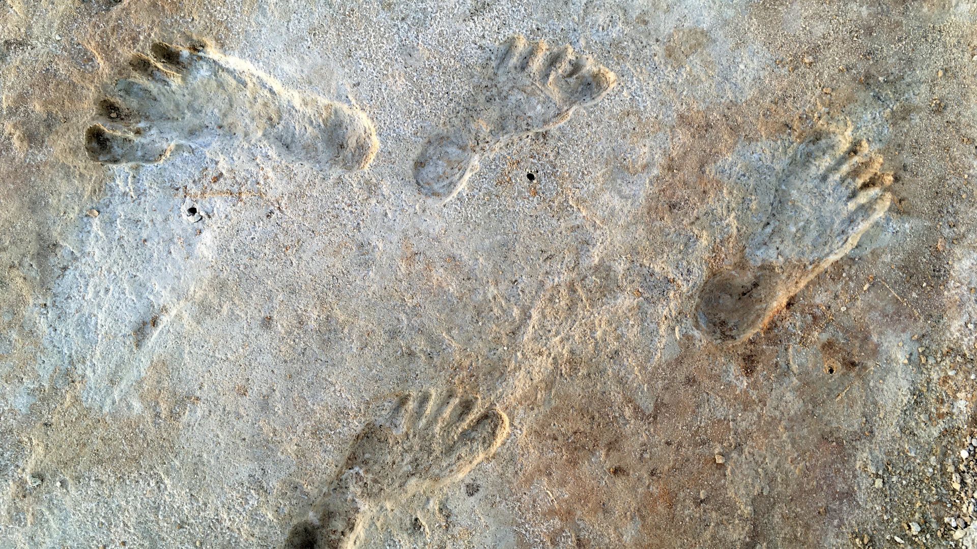 Human fossil tracks at White Sands New Mexico