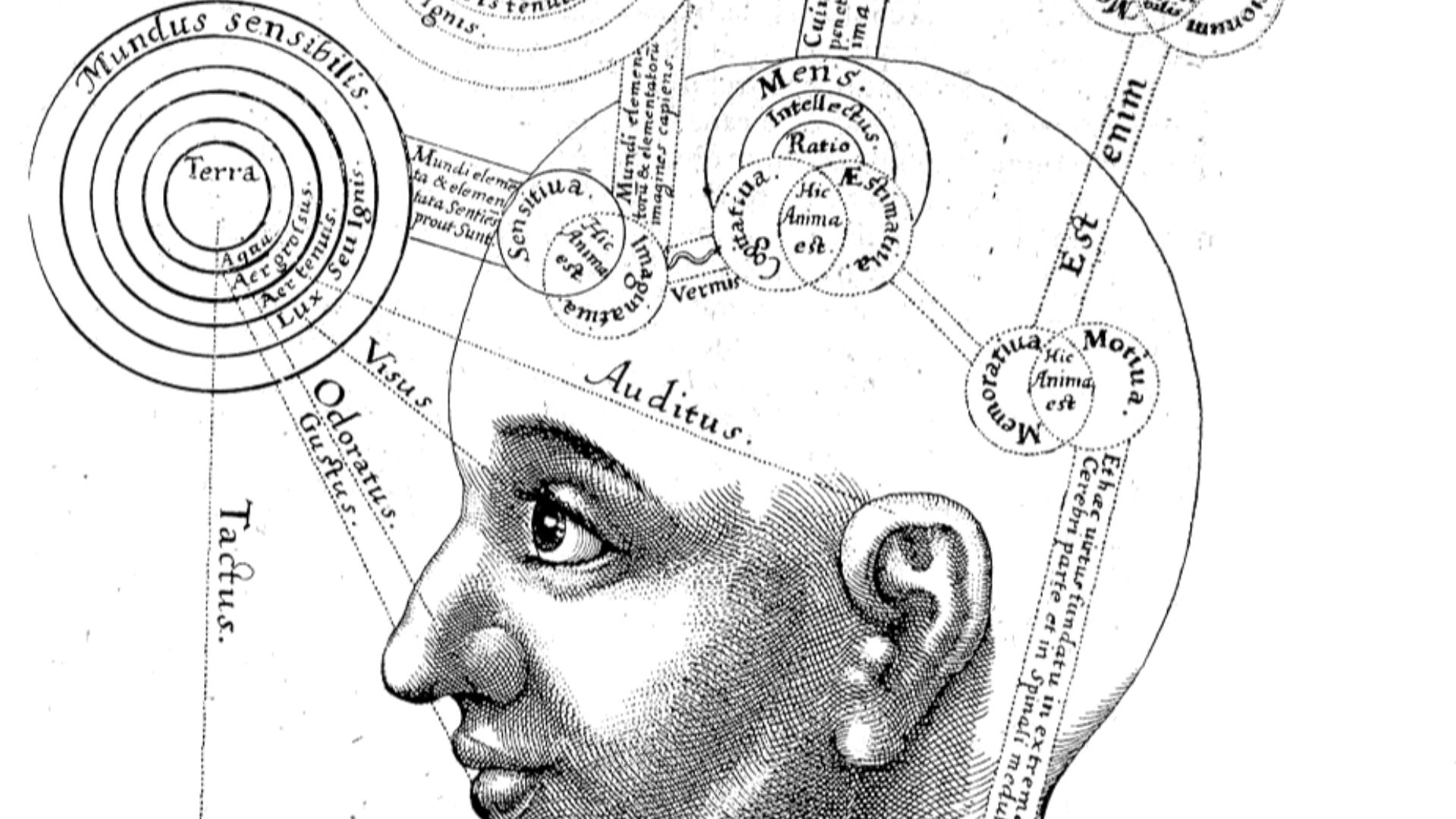 Robert Fludd, Utriusque cosmi maioris scilicet et minoris […] historia, tomus II (1619), tractatus I, sectio I, liber X, De triplici animae in corpore visione. 
This file was transfered from de.wikipedia.org. The original file description page is (was) he