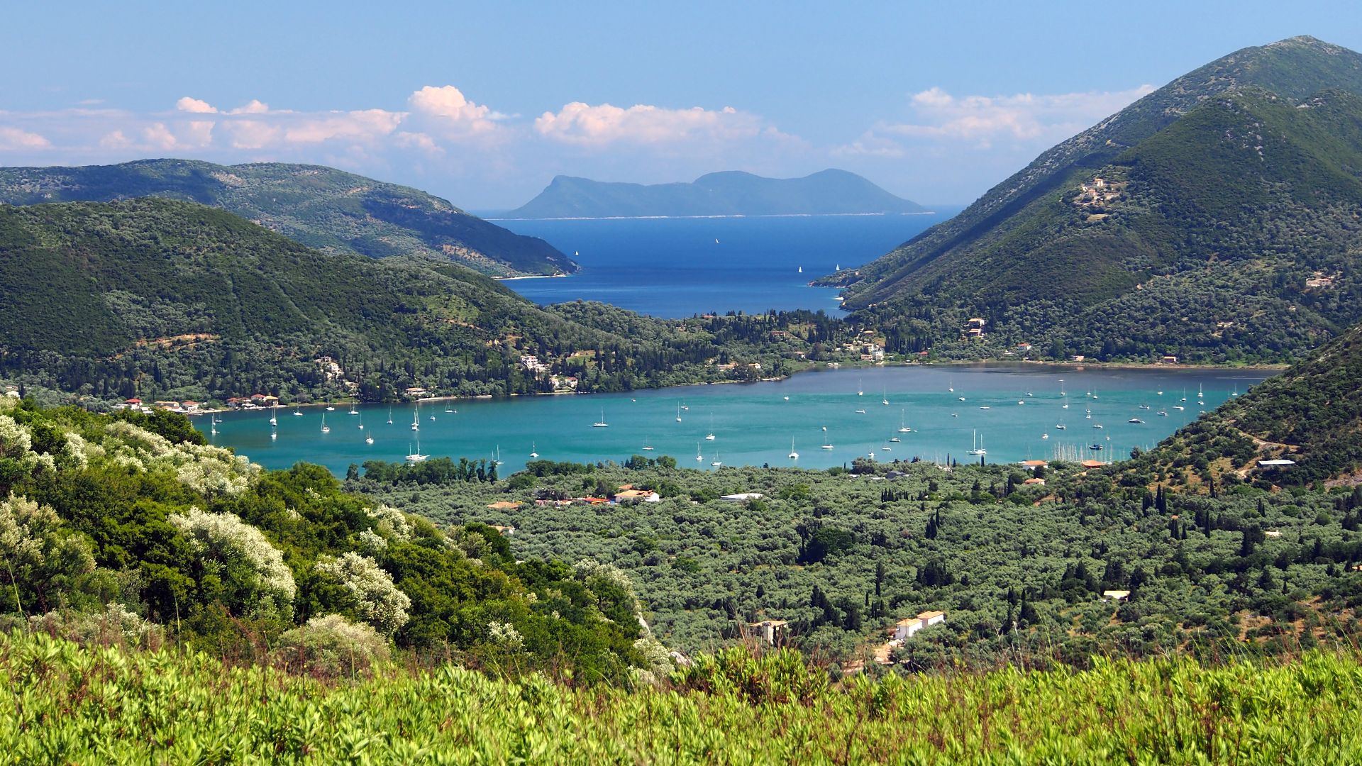 Photographed on Lefkada, Greece.