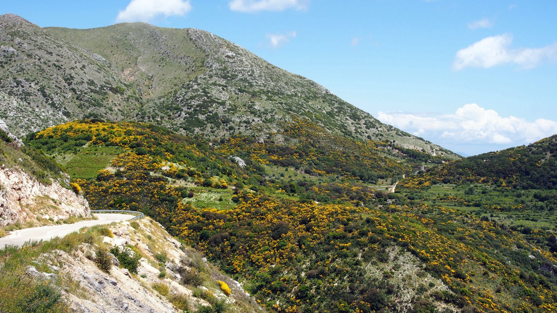 Photographed on Lefkas, Greece.