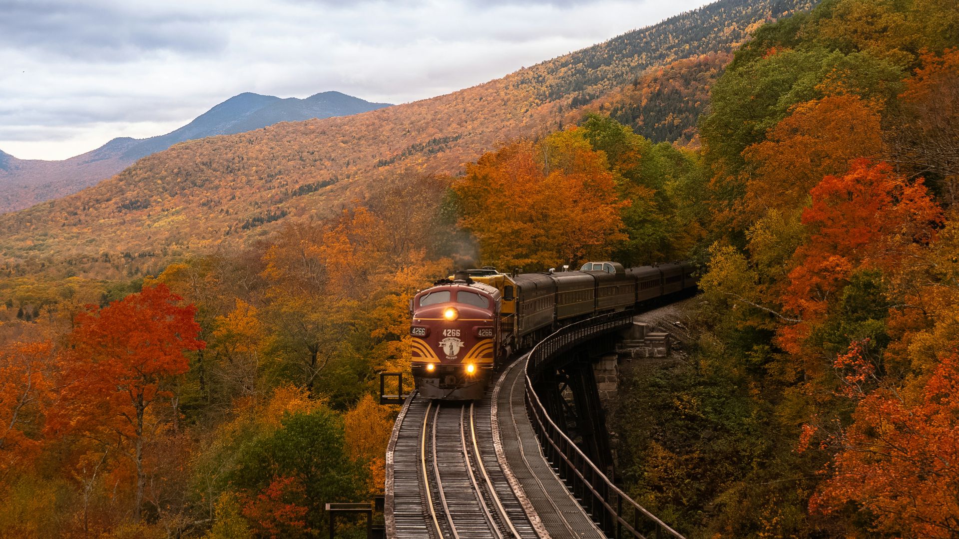 orange train between fall trees