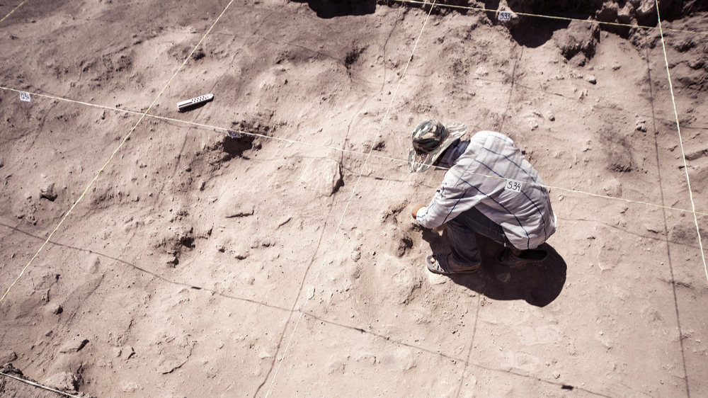 Archaeologist working in field, with special tools