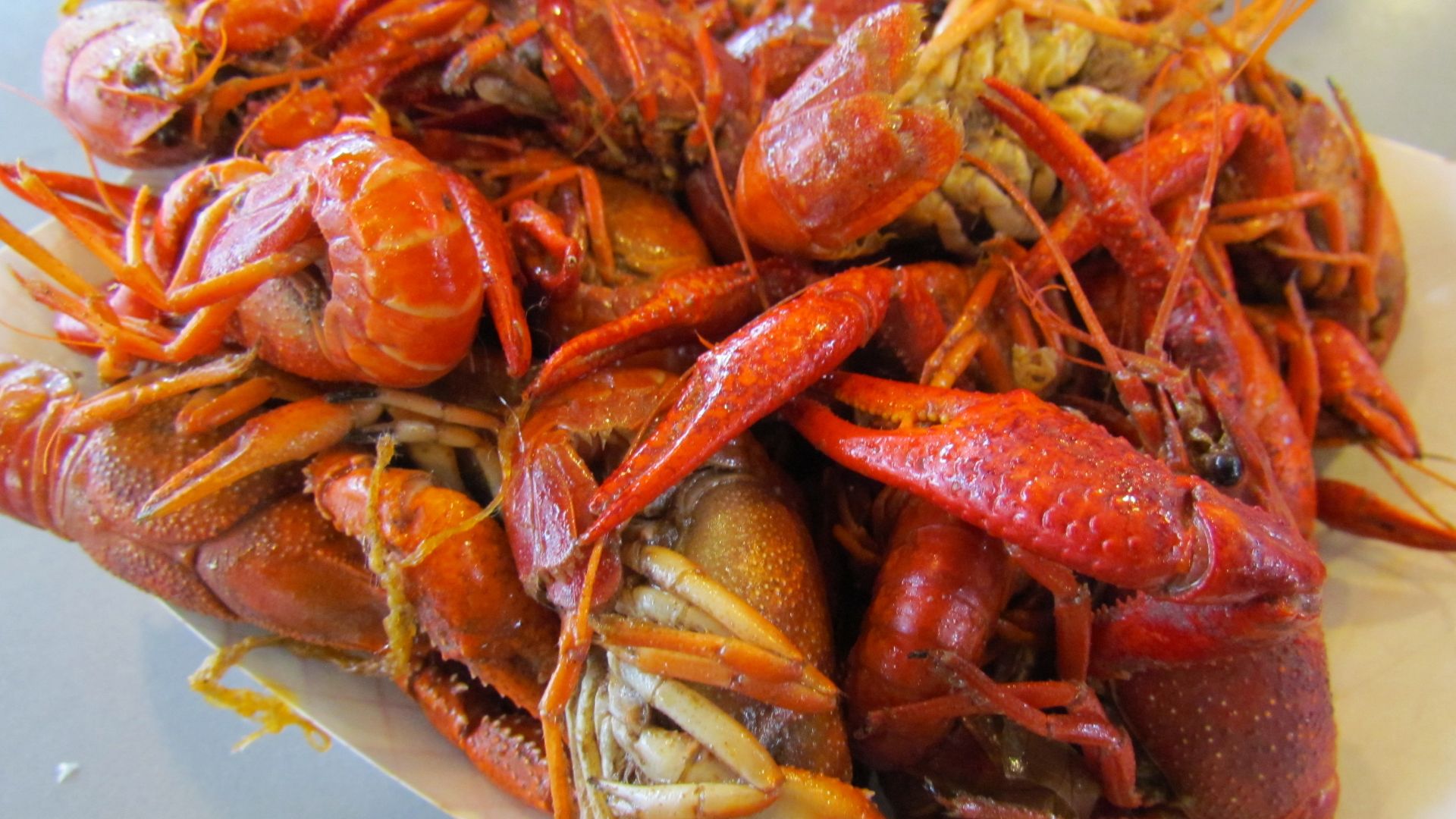 Crawfish
Travels in New Orleans, Louisiana in May 2012 - by David Berkowitz