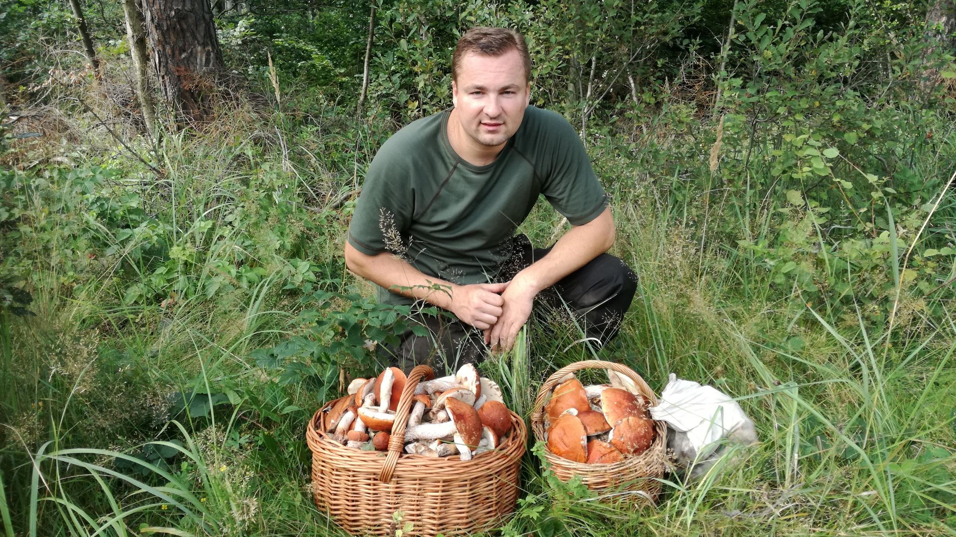 A man kneeling with baskets of freshly foraged wild mushrooms in a lush green forest.