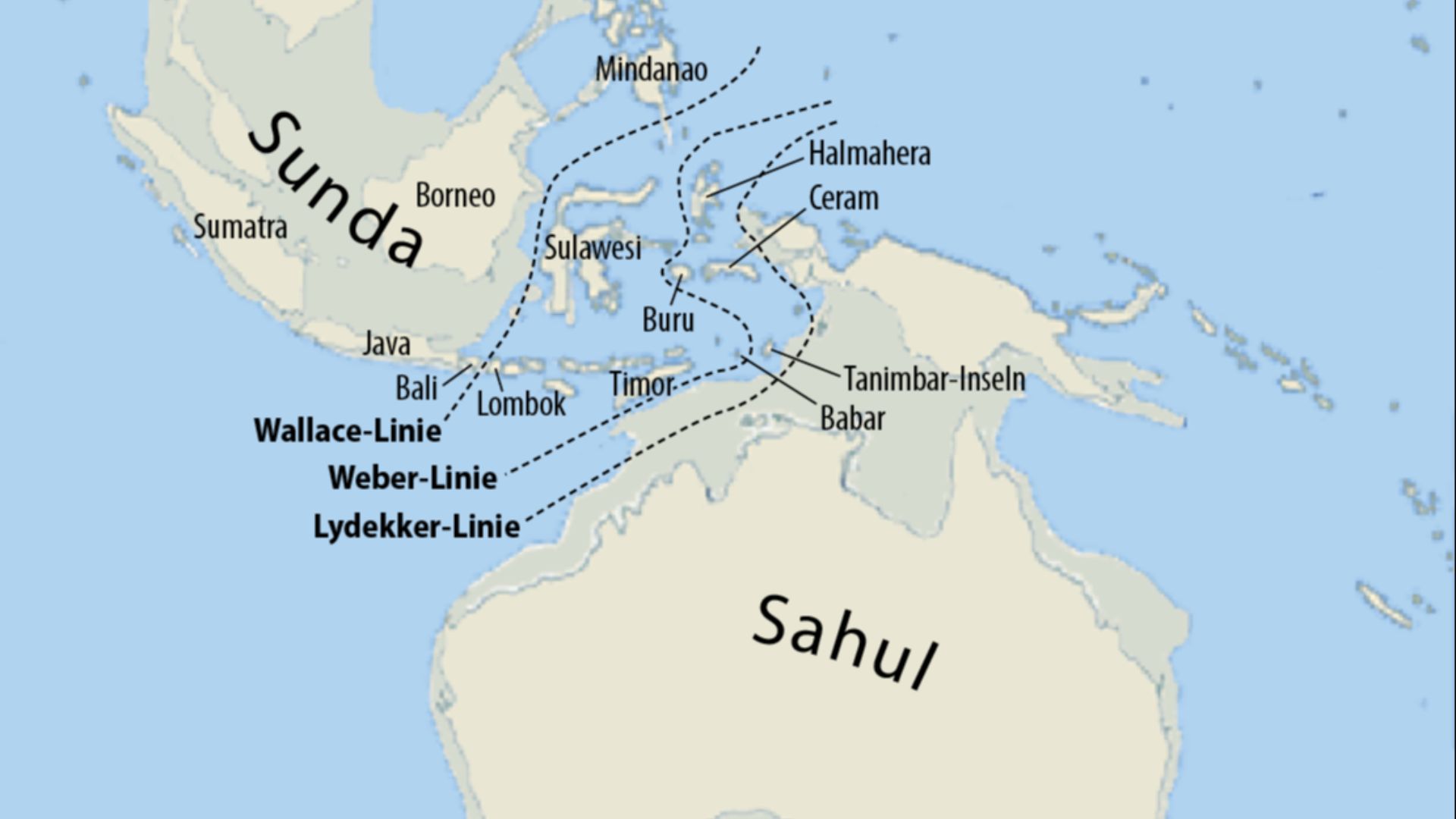 Map of Sunda and Sahul and the Wallace Line, the Lydekker Line and the Weber Linie