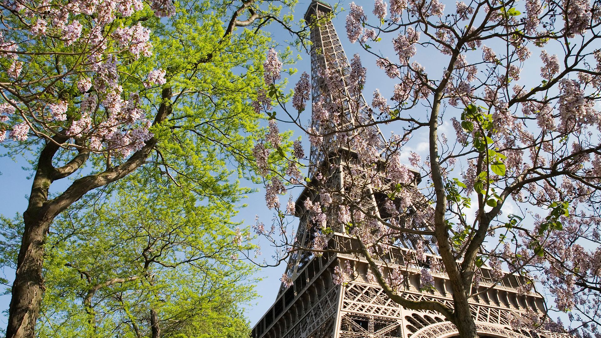 The Eiffel Tower in spring, Paris, France.