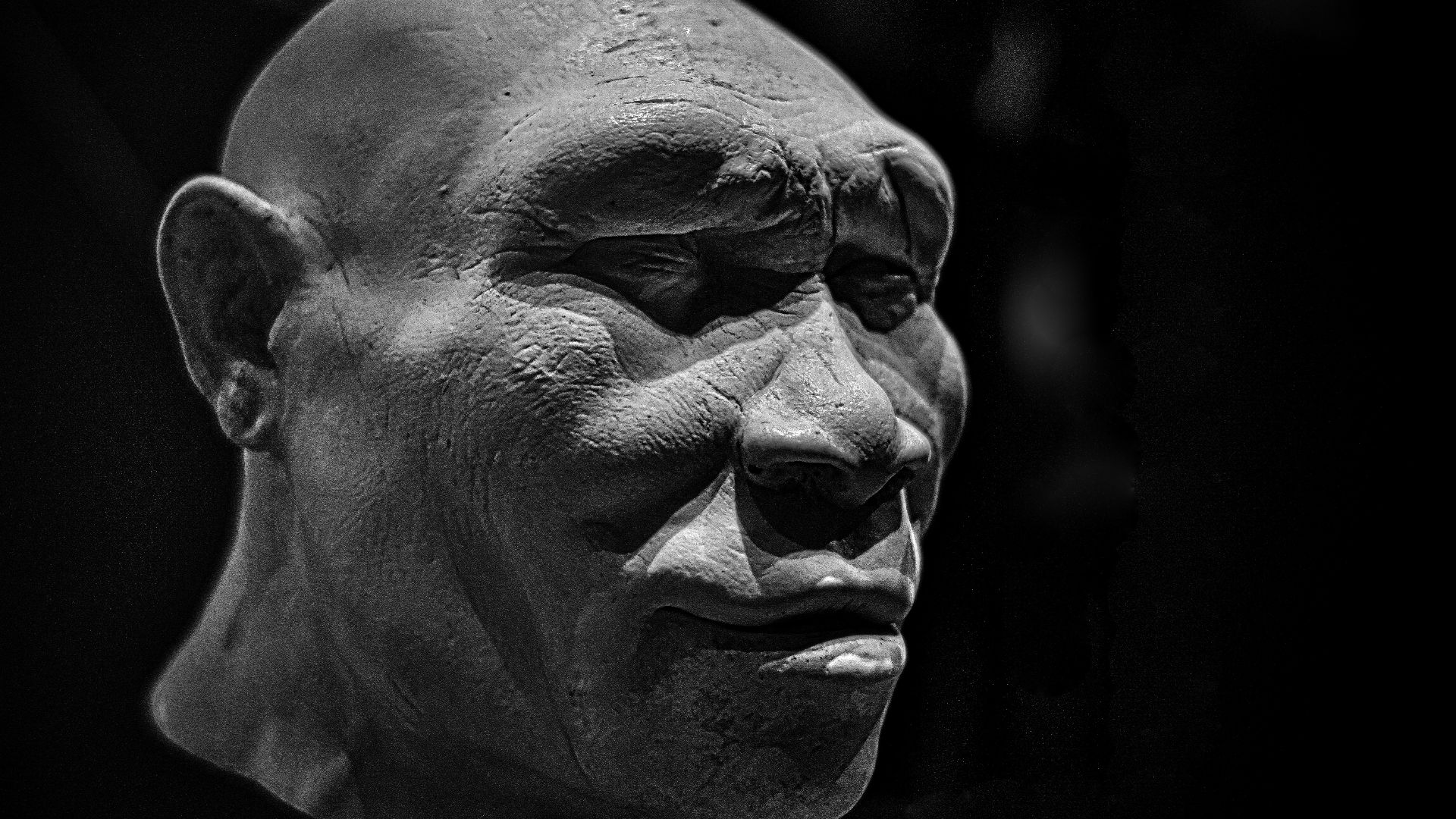 Homo erectus reconstruction, Natural History Museum, London
Within these hallowed halls
Revenge one does not know.
(Mozart, Magic Flute)
7Artisans 35mm manual lens at F1.2, ambient light.

Natural History Museum, London. This attempt at reconstructing the