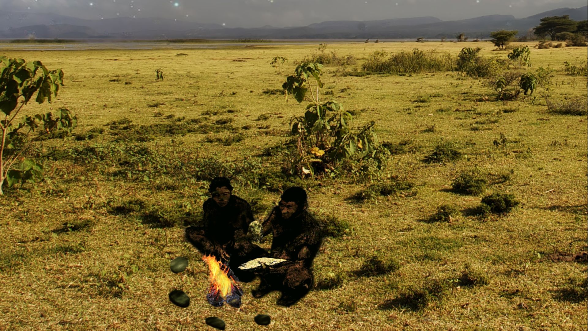Homo erectus, somewhere around 1 million BC, in modern day Ethiopia. Perhaps the first use of fire dates back to this time. The stars that would become Orion rise over the plain.
Four different images were used to compose this- processed in PS5.
Attributi