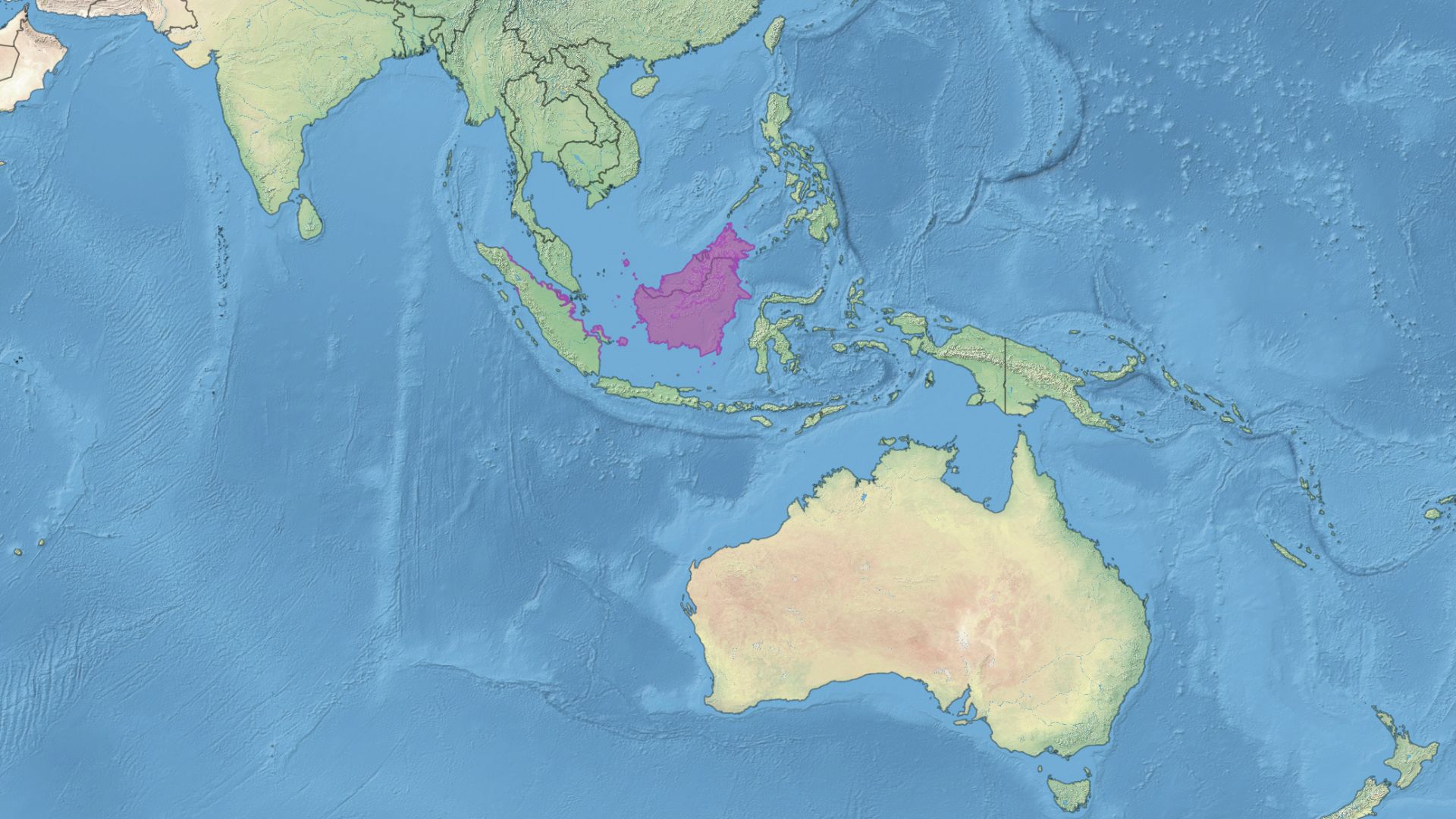 Borneo Tropical Forests & Sundaland Heath Forests Bioregion. This is only the terrestrial portion; the marine portion is not included in this map. 
The Borneo Tropical Forests & Sundaland Heath Forests Bioregion contains the following ecoregions:

Southwe