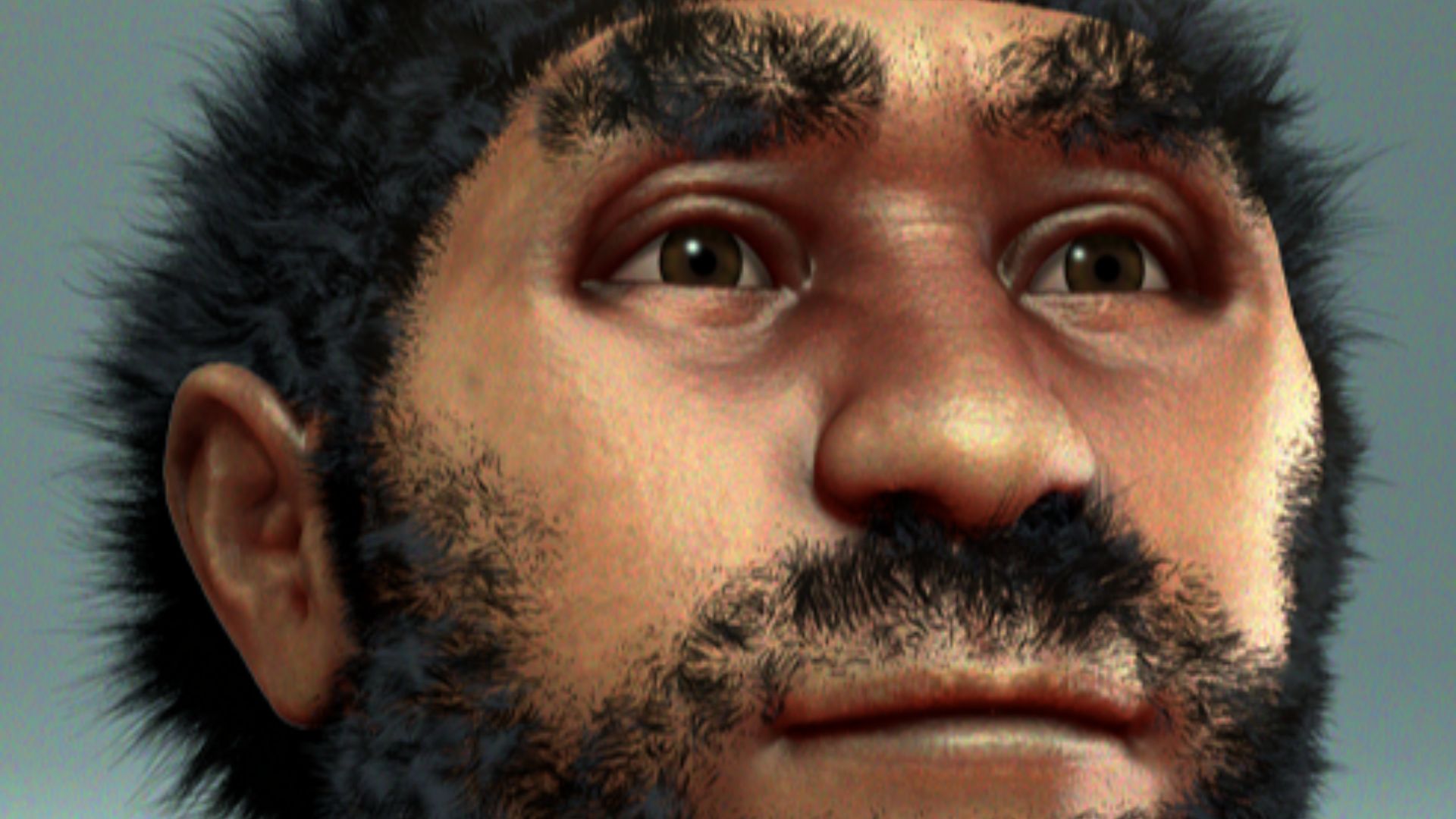 Homo erectus pekinensis - archeaeological