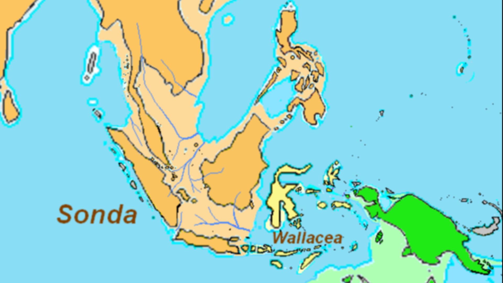 Sunda Shelf and rivers of Sundaland