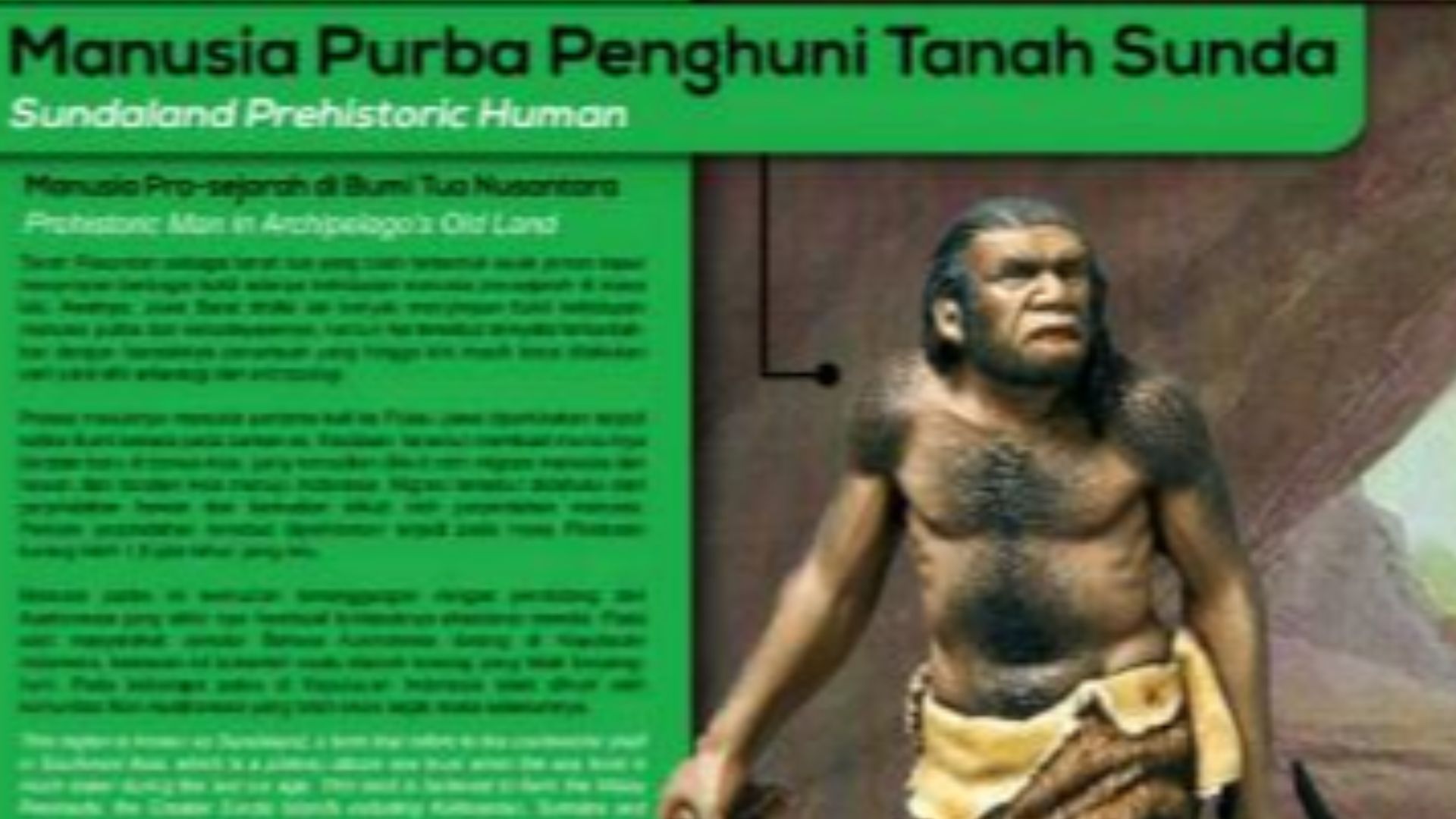 Di zona kedua juga merupakan zona mengenal MANUSIA PURBA JAWA , para peneliti mengungkapkan dipilihnya Jawa sebagai tempat tinggal manusia purba karena iklimnya yang tropis. Sehingga manusia purba pada masa itu dapat bertahan hidup dari suhu yang dingin. 