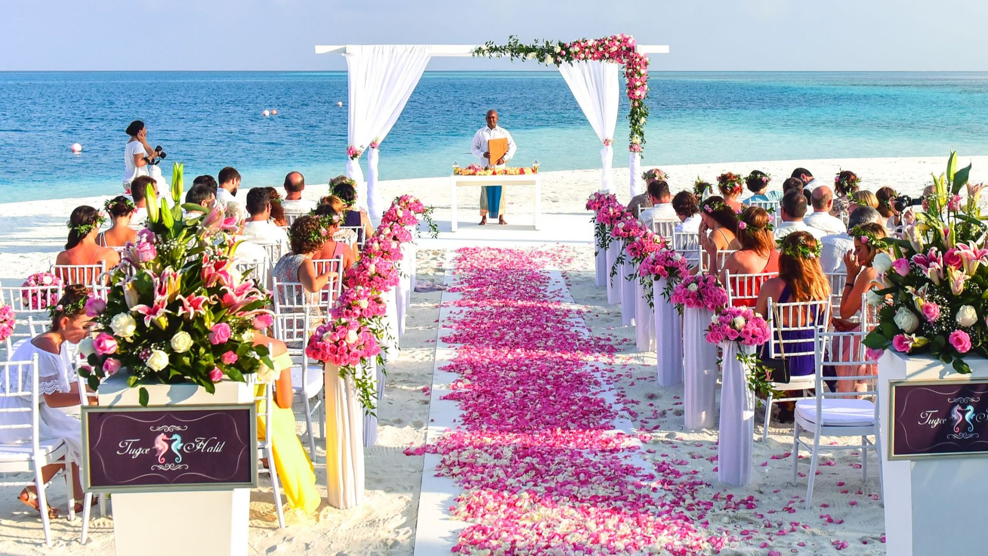 A beautiful outdoor beach wedding setup with rose petals, guests, and ocean view.