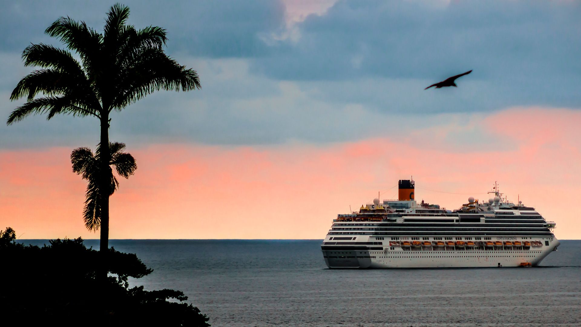A cruise ship sails at sunset near a palm tree with a vibrant sky and calm ocean.