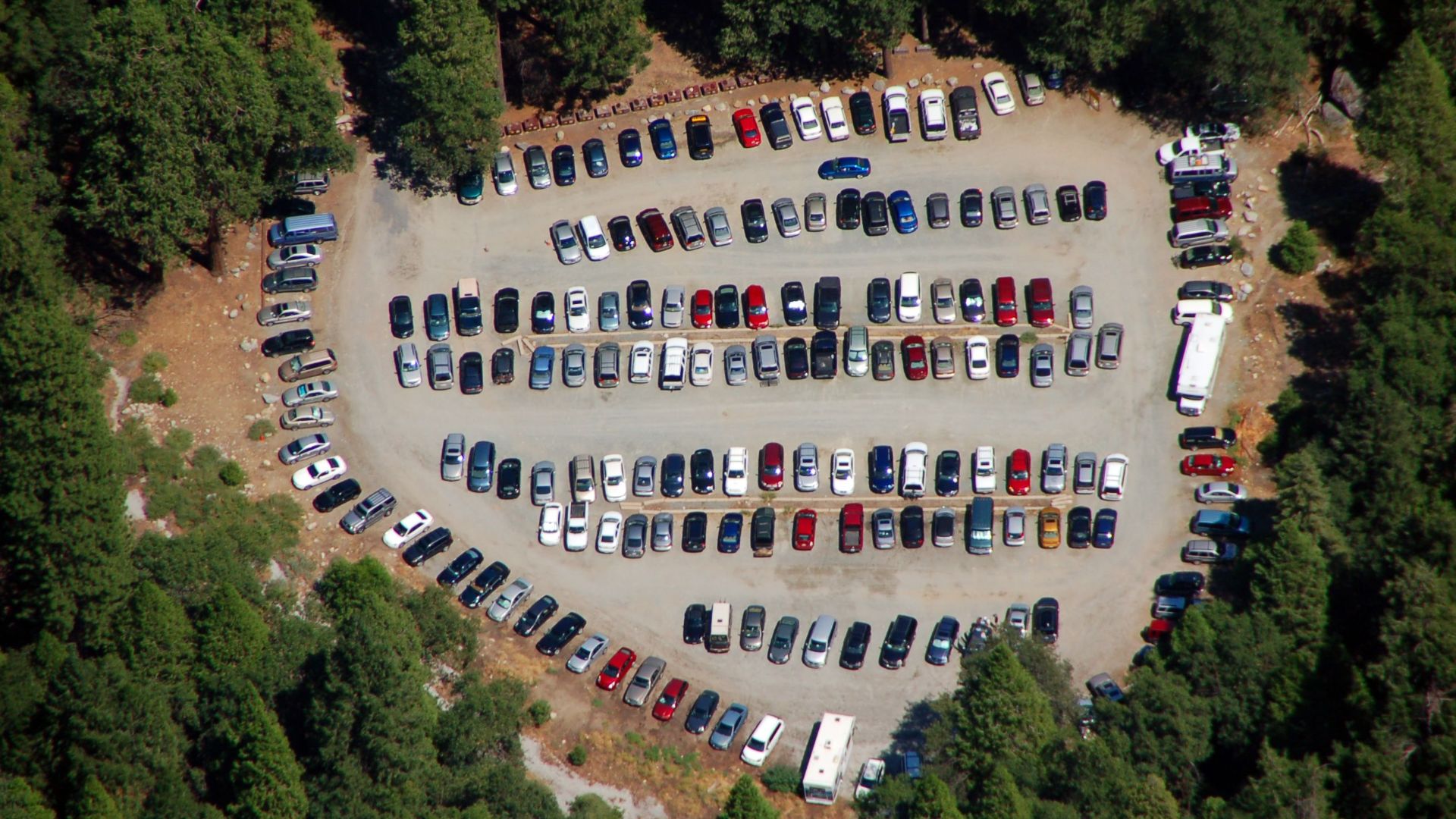 Drone shot showing an organized parking lot full of vehicles surrounded by trees.