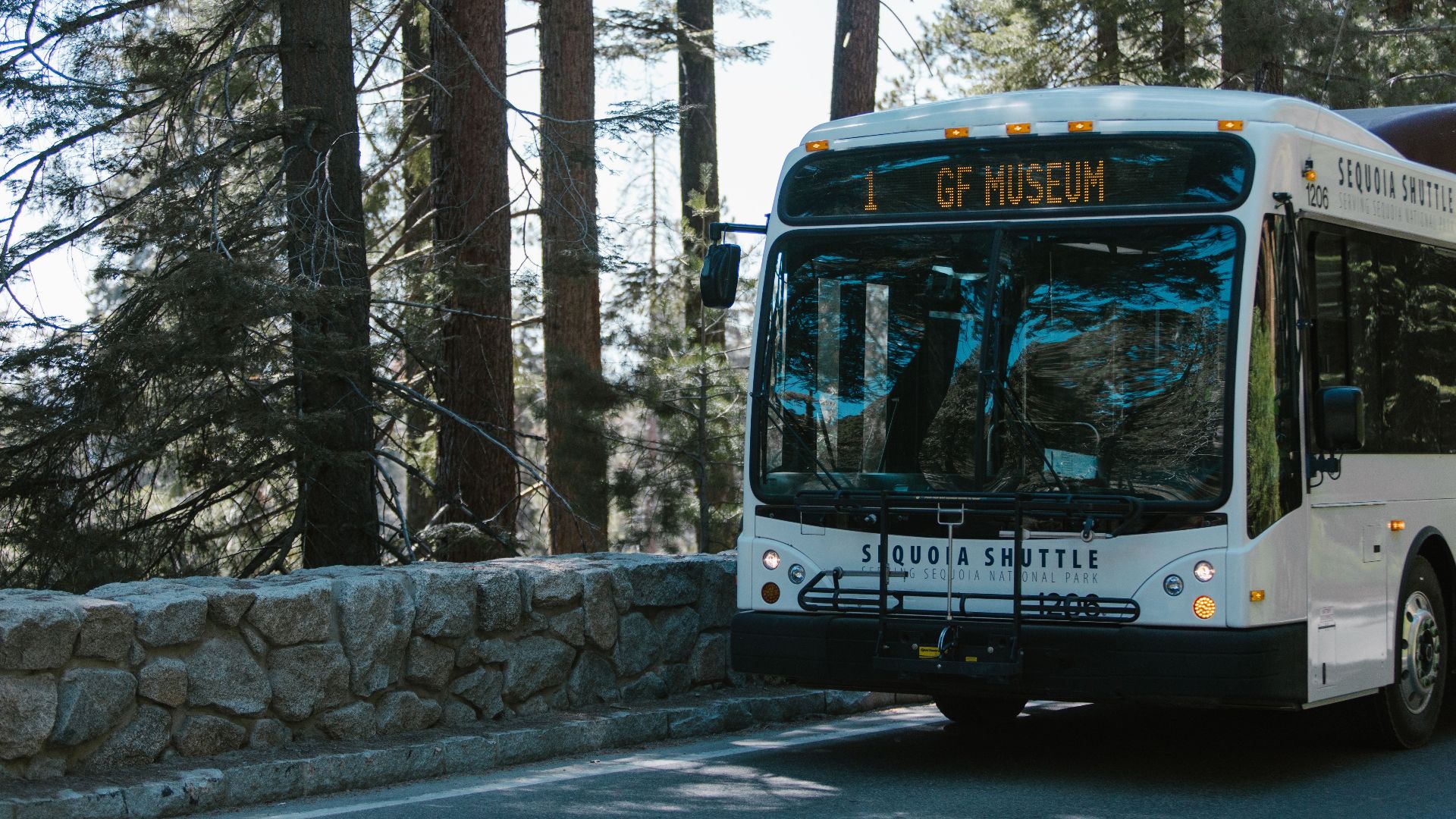 Sequoia shuttle bus in a forest setting within a national park.