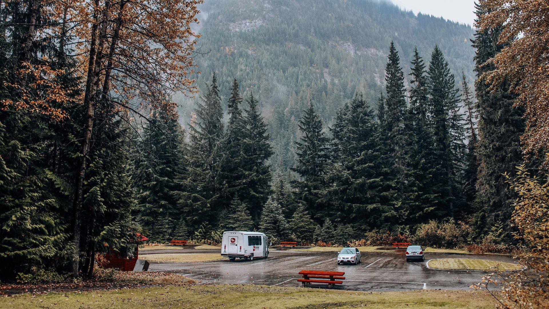 Tranquil autumn scene at a forest parking lot with mountain backdrop and vehicles parked.