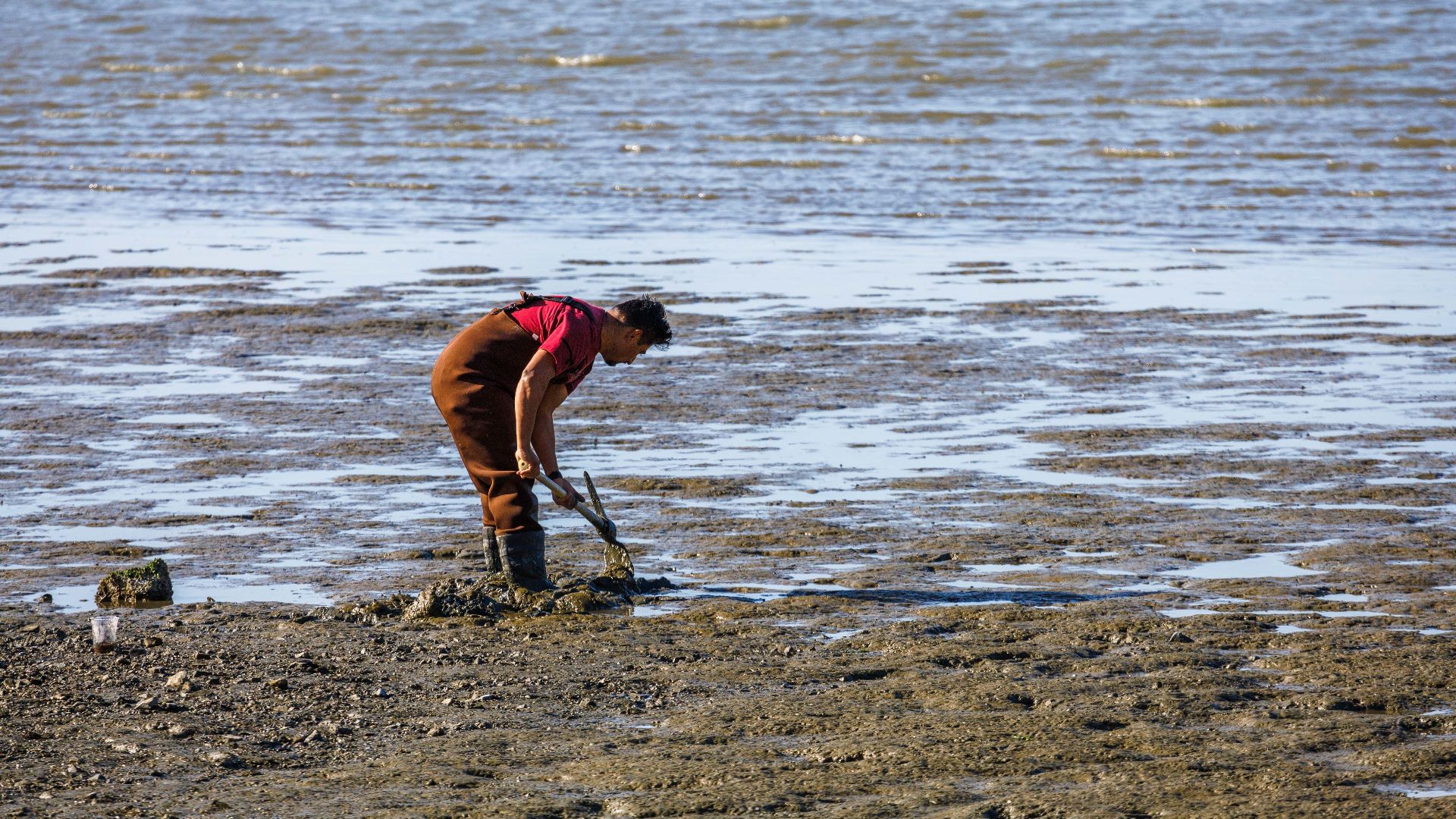 An individual in overalls digging on tidal mud flats during low tide, showcasing rural coastal activity.